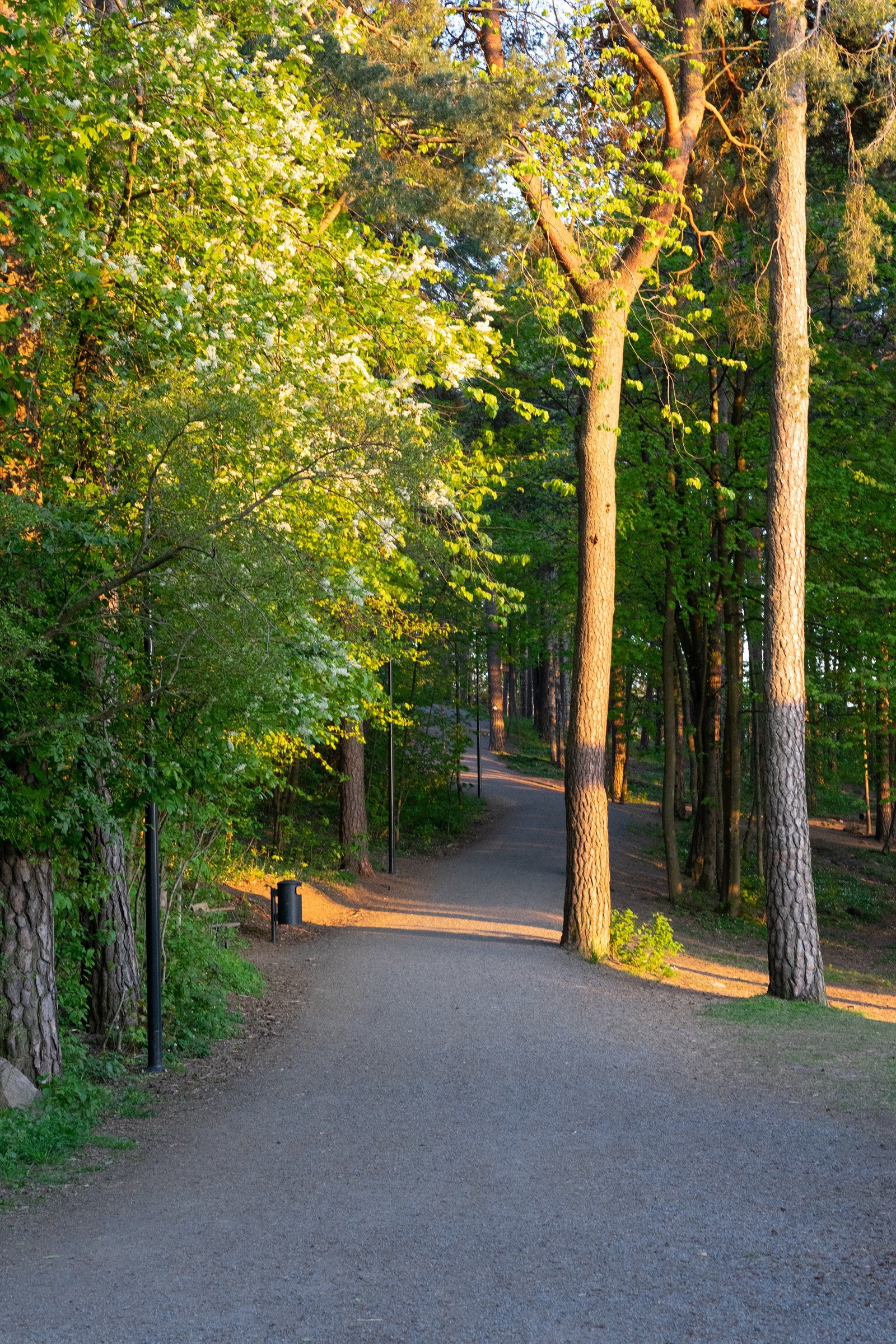 Ekebergparken. Galleribilde