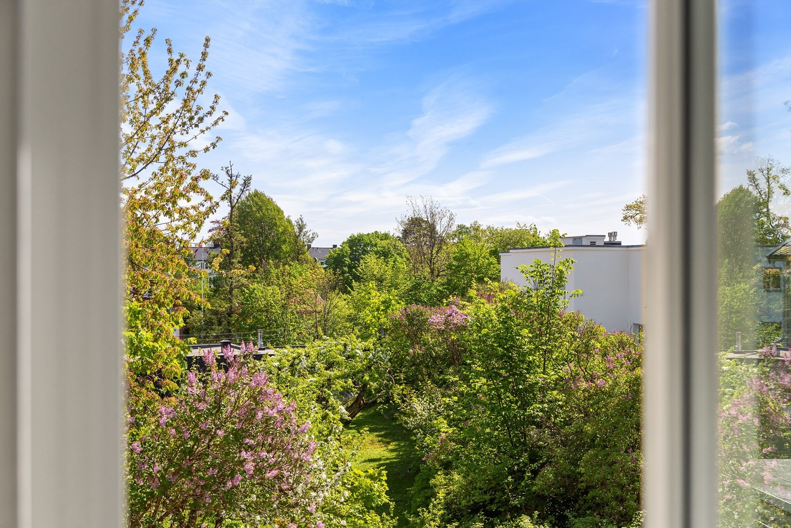 Høyt og fritt med flott utsyn fra 2. etasje. Galleribilde