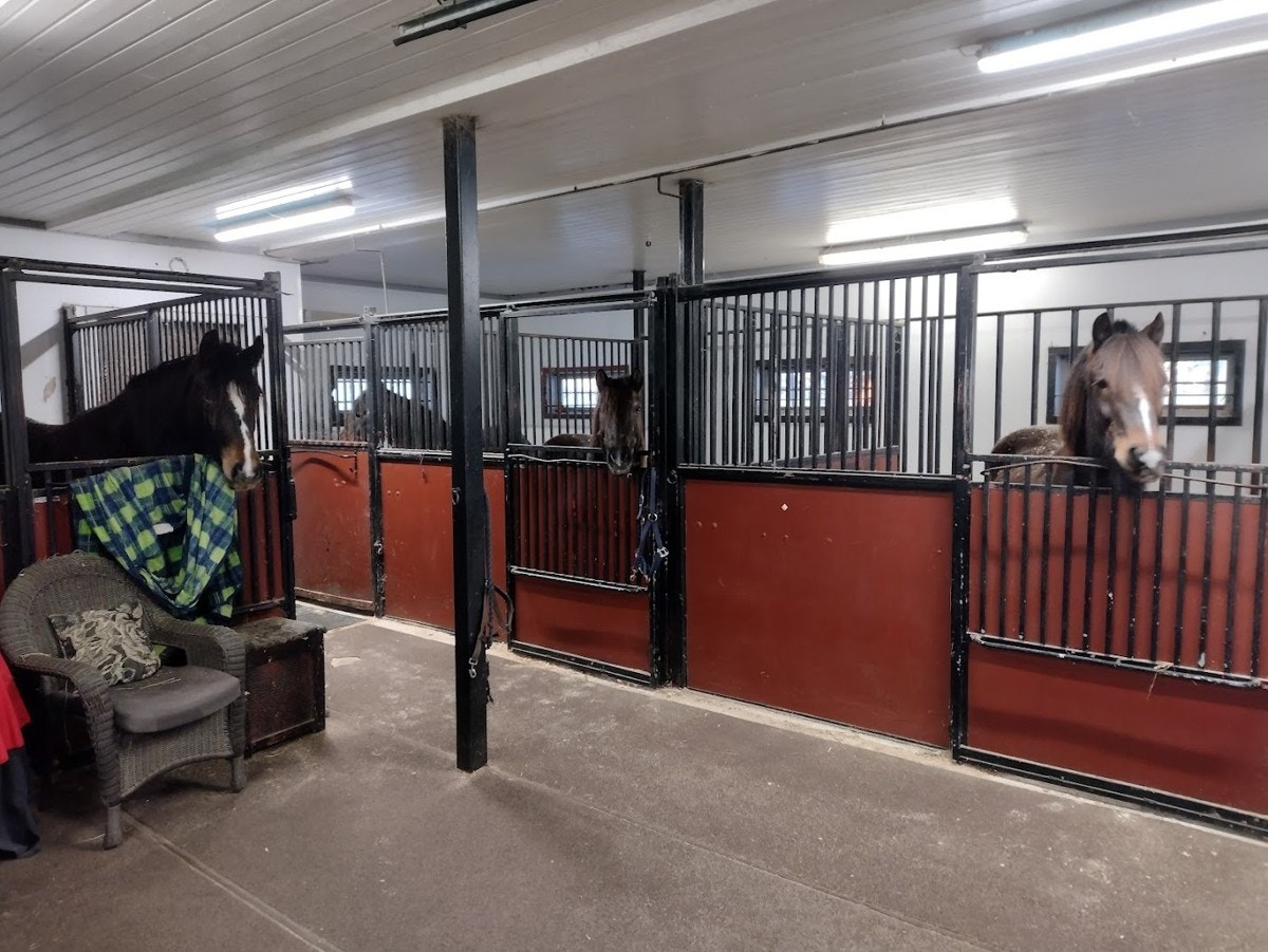 Stallen har sju bokser, vaskesone, toalett, loft og kjeller. - privat foto. Galleribilde