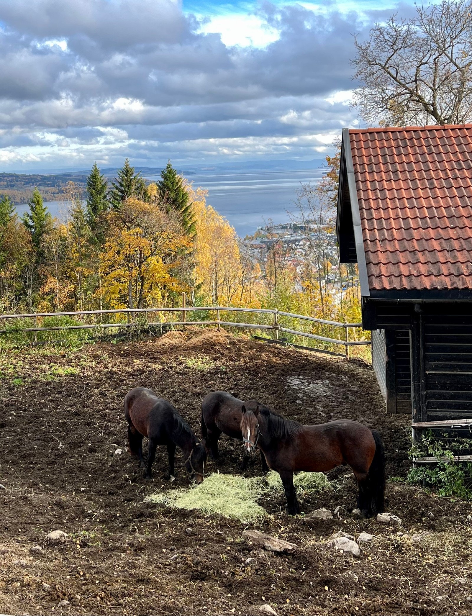 På denne eiendommen kombinerer du et liv med småbrukskvaliteter, tett på marka med nærheten til byen - privat foto. Galleribilde