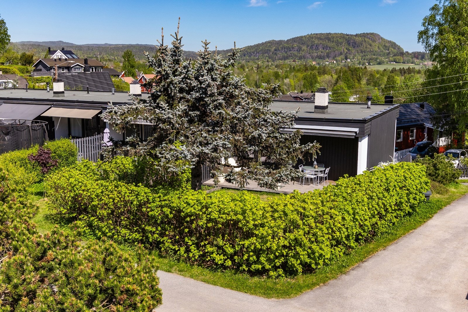 Hagen er god skjermet Galleribilde