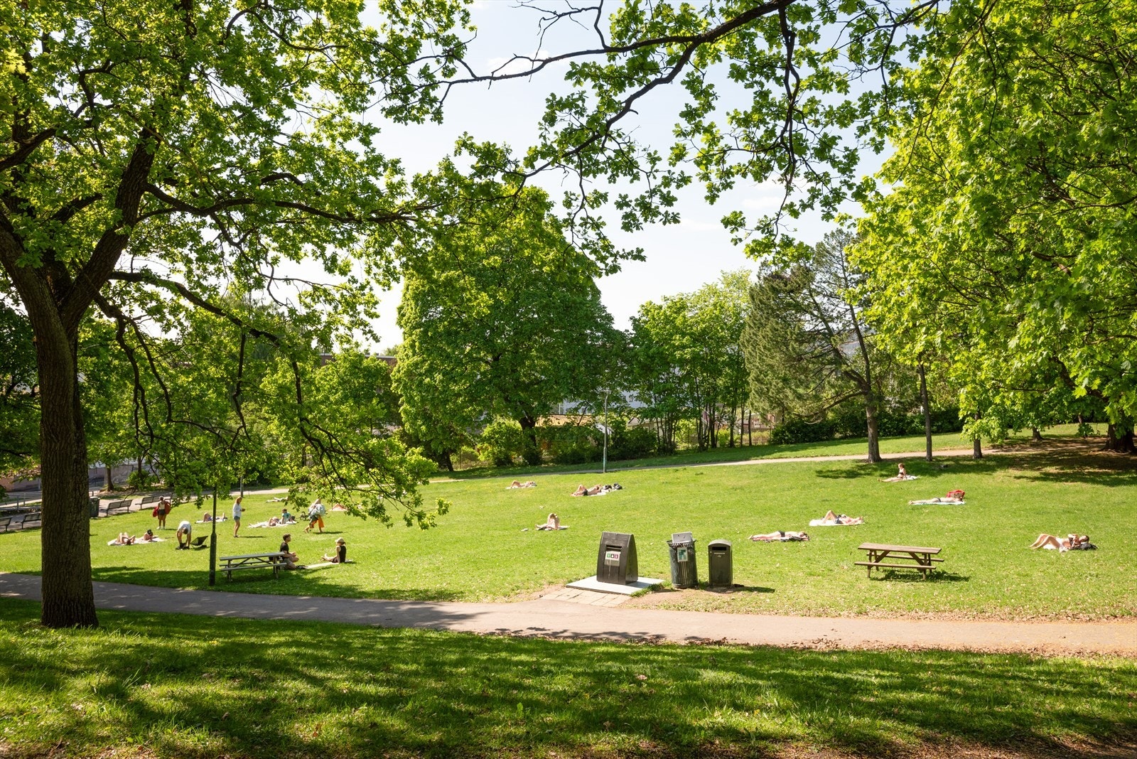 Nærområdet Galleribilde