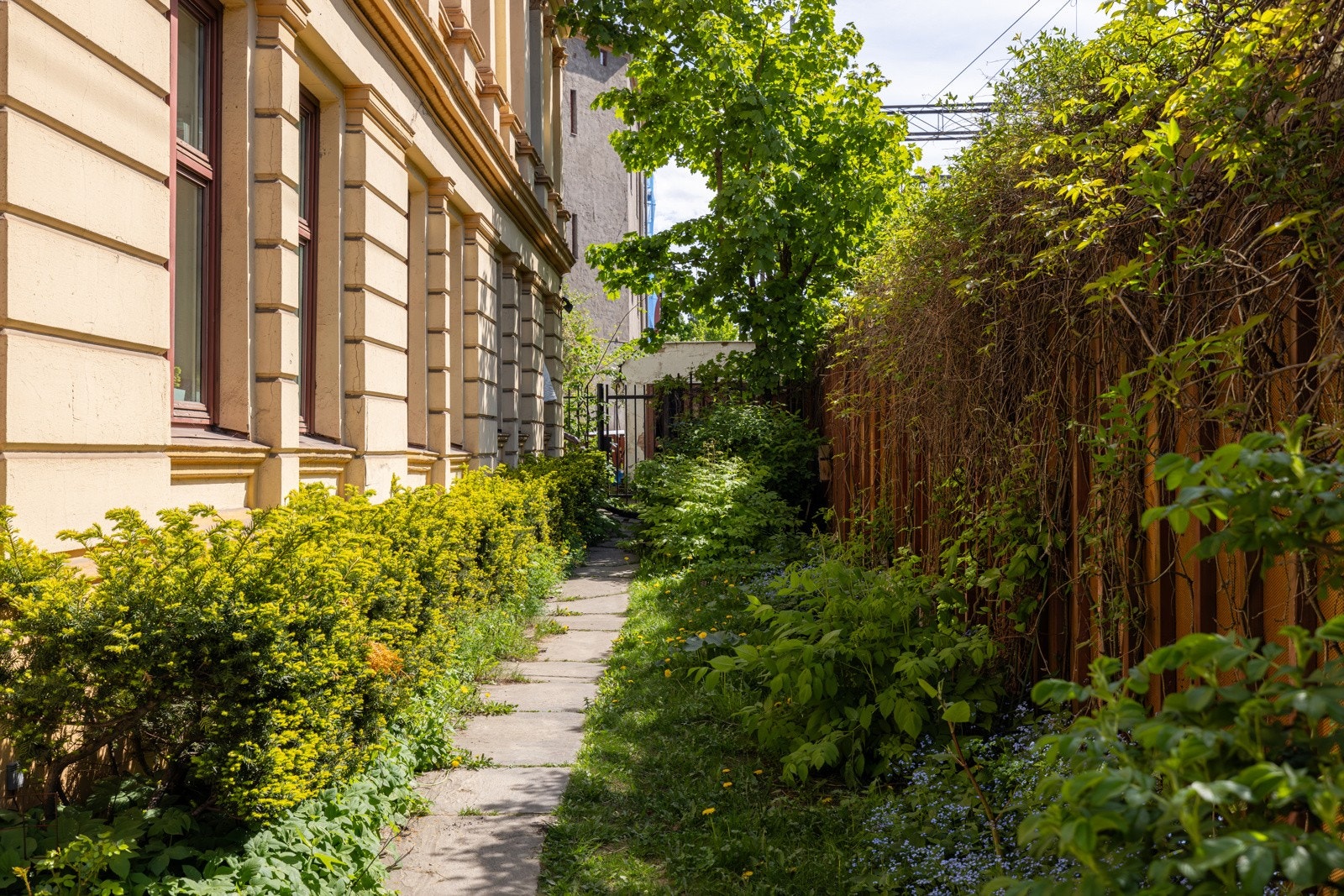 Hyggelig bakgård Galleribilde