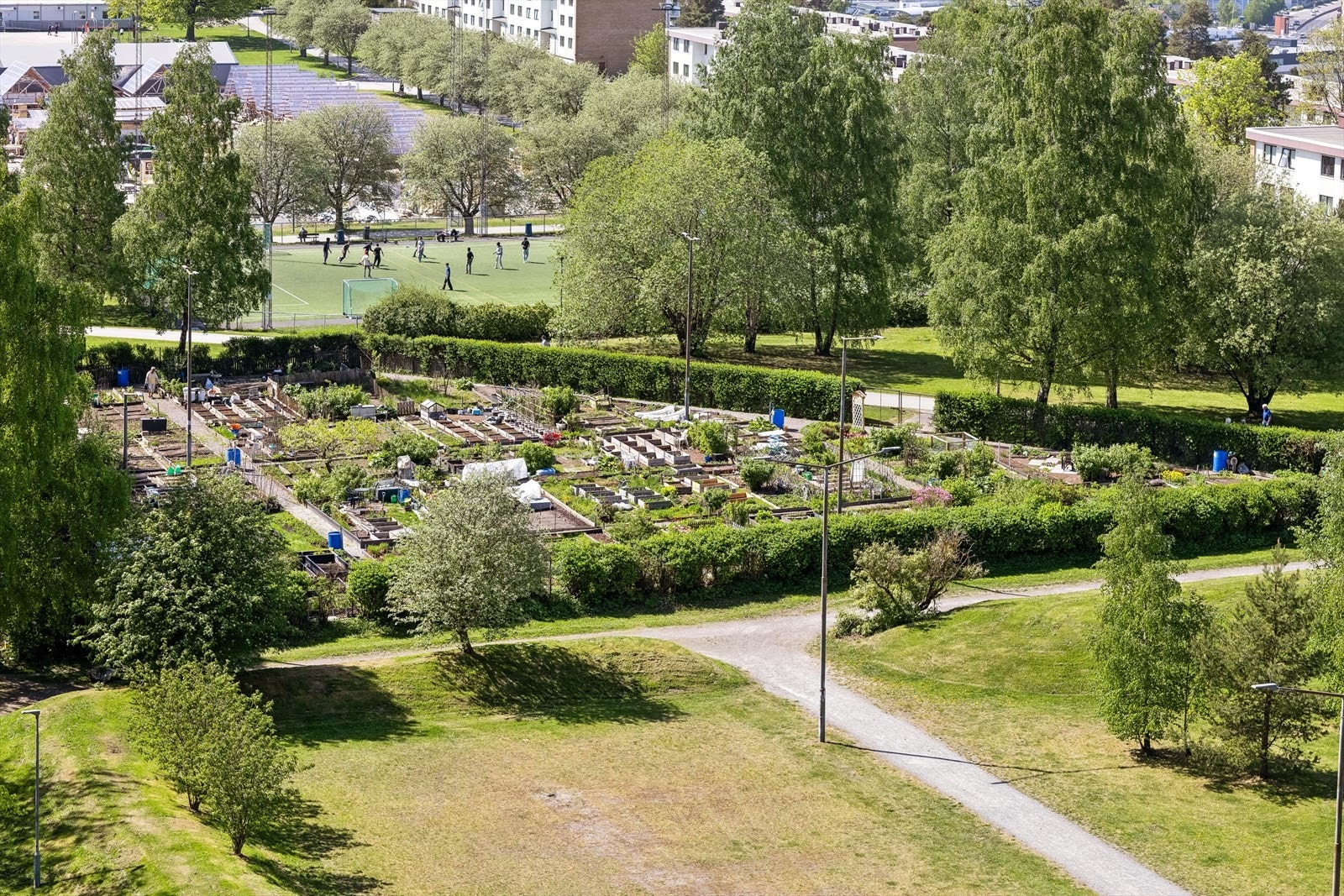 Parsellhage rett utenfor døren! Galleribilde