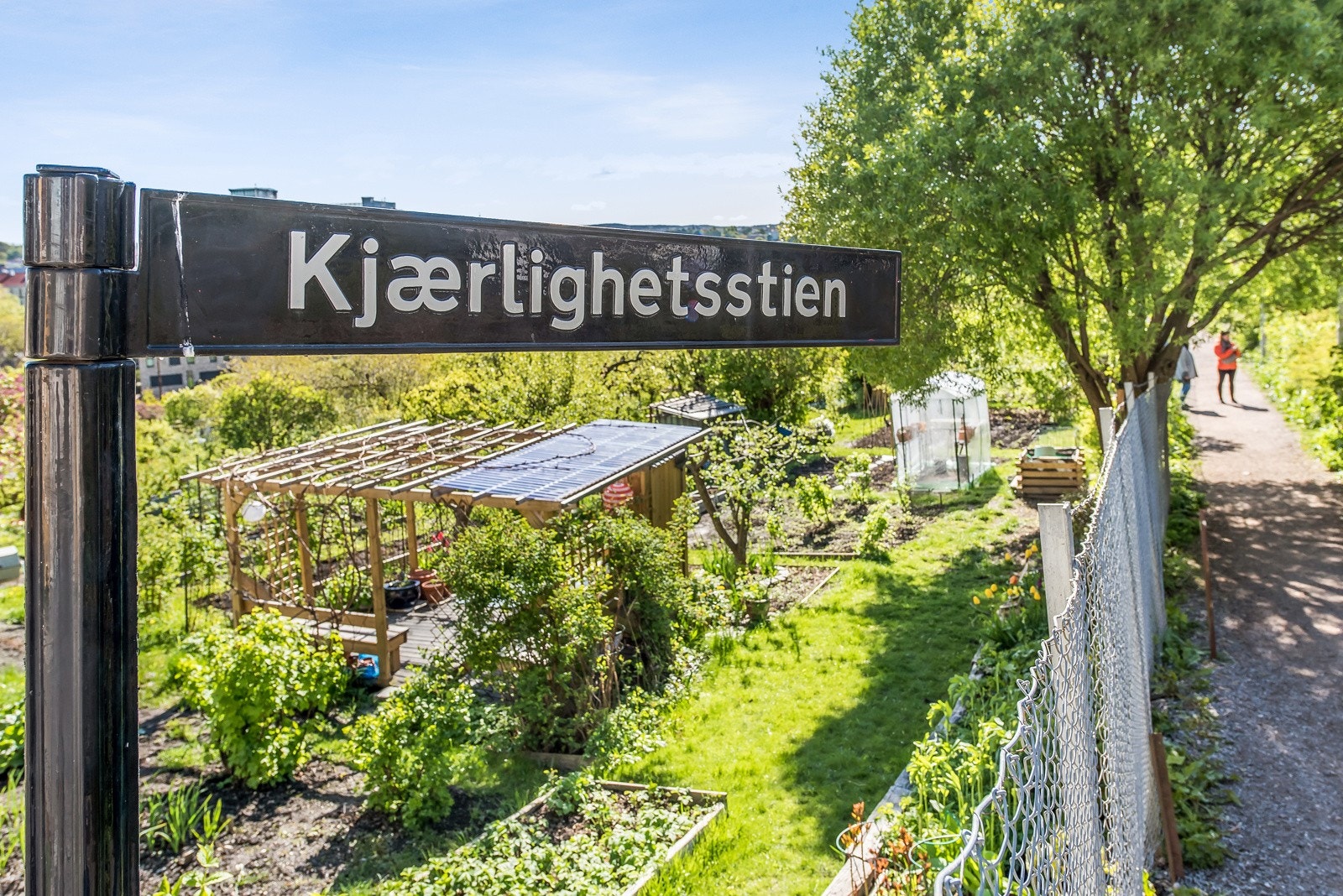 Nærområde Galleribilde