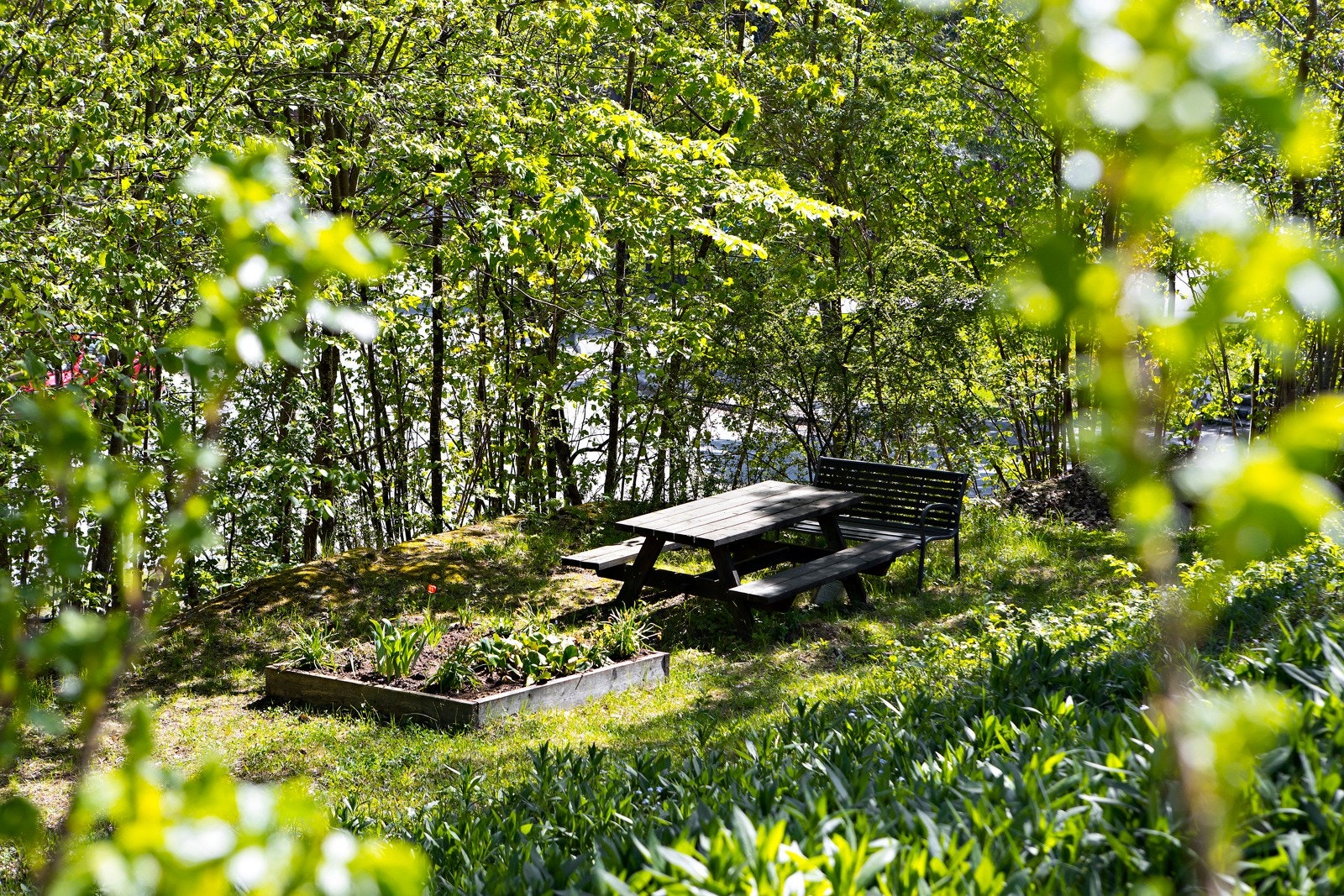 Borettslaget har store fellesarealer med grønne lunger. Galleribilde