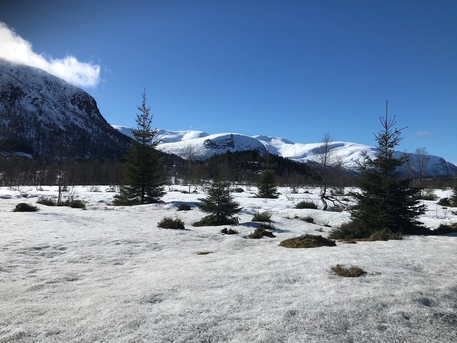 Mot Knudsdalen, Seljesethornet og Gulekoppen. (privat bilete) Galleribilde