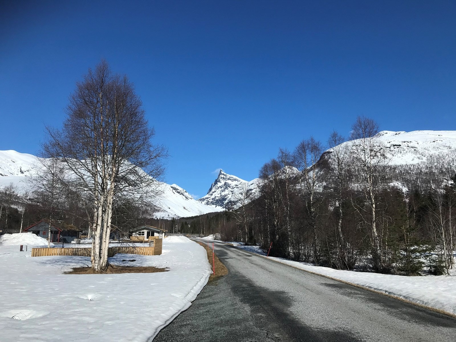 Ved innkøyrsla til hyttefeltet. (privat bilete) Galleribilde