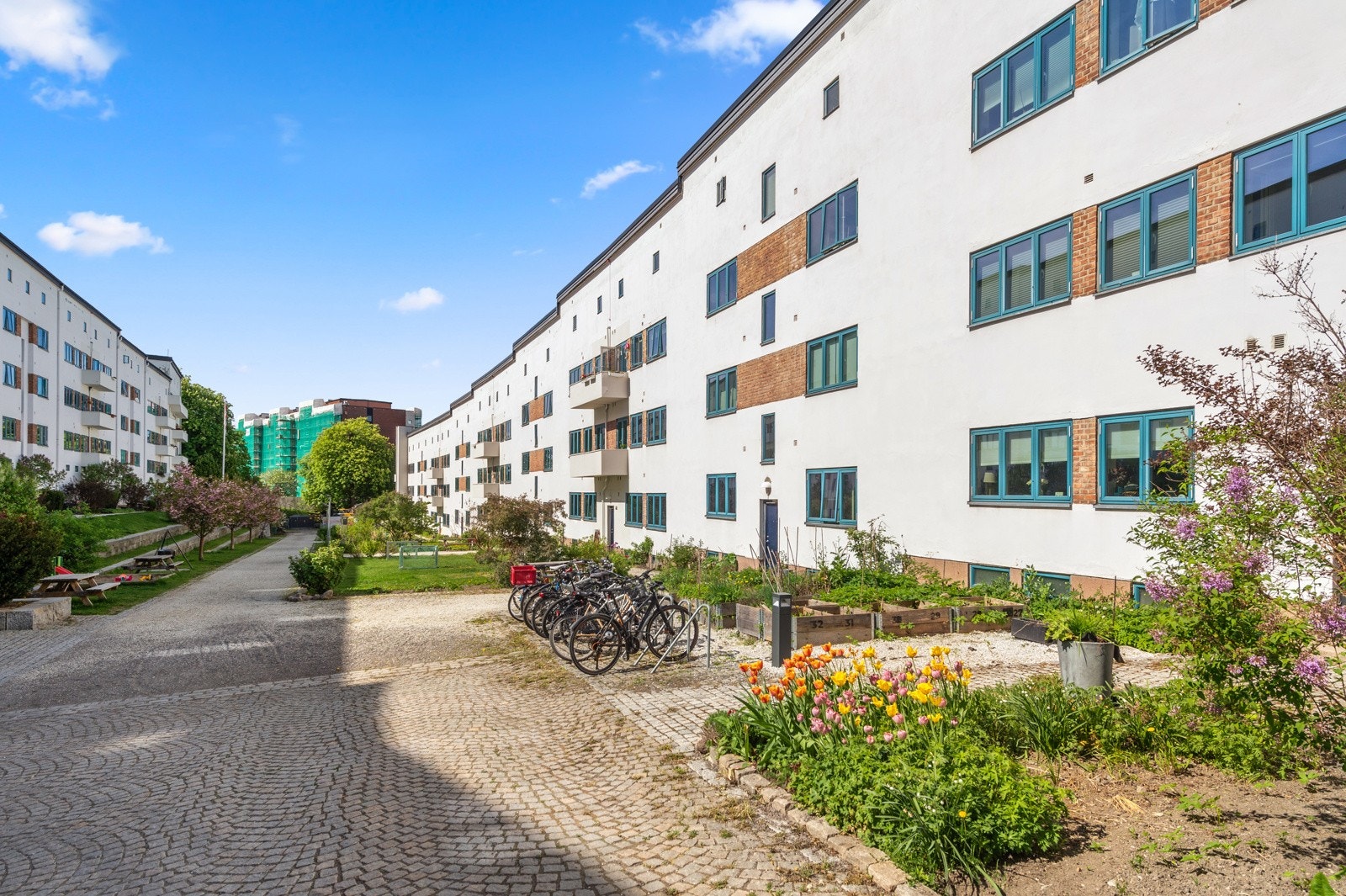 Fasade. Galleribilde