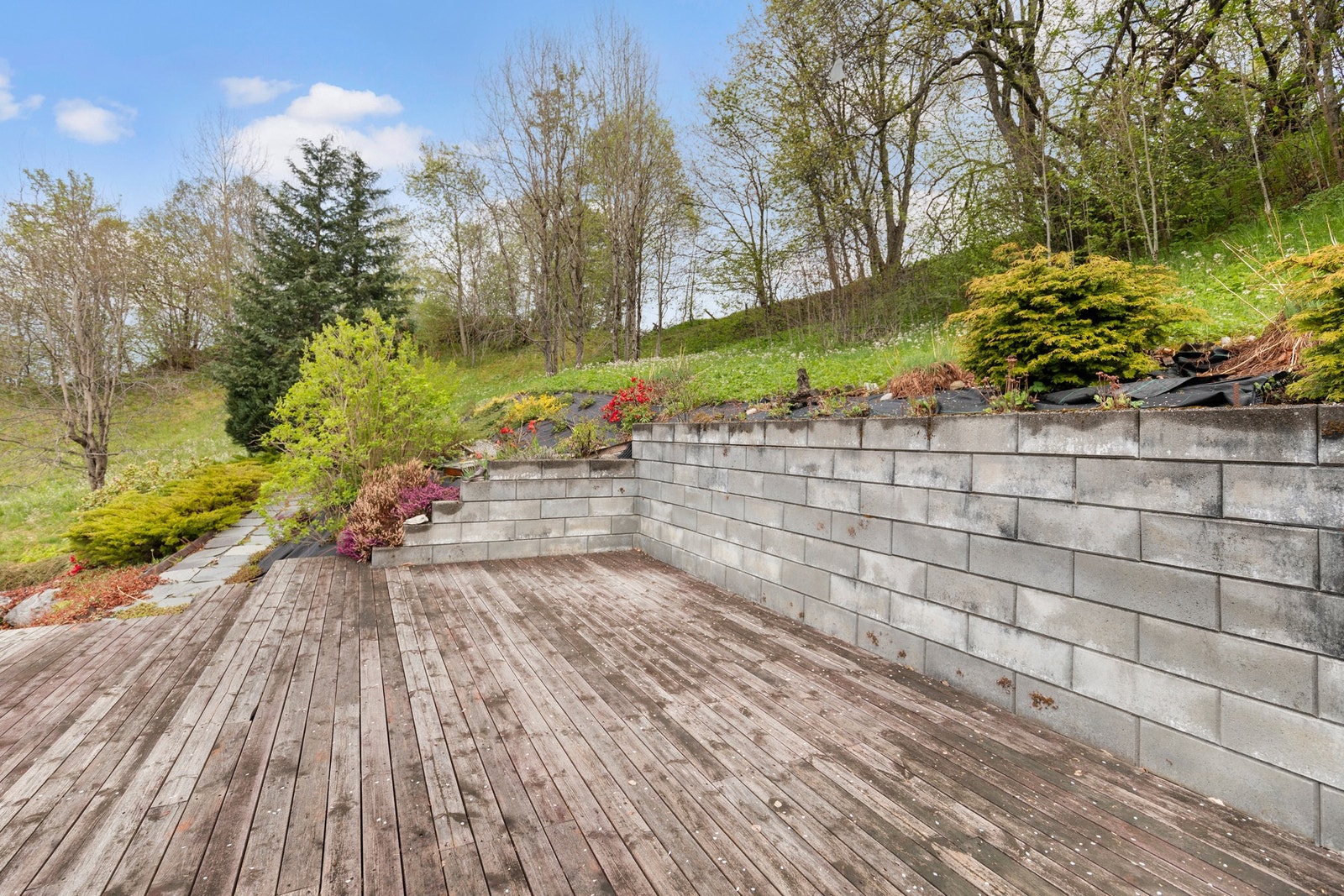 Terrasse. Galleribilde