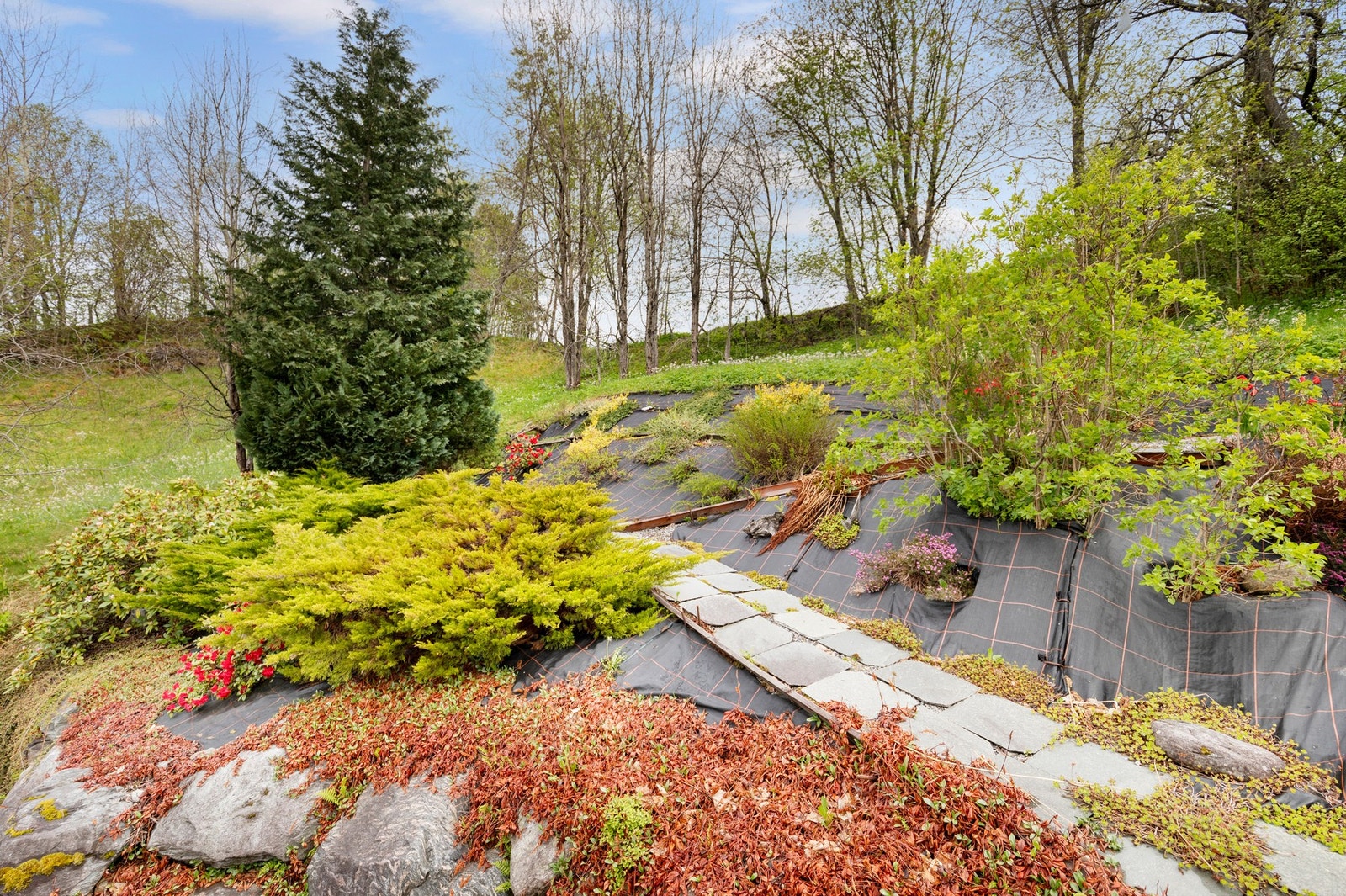 Sameiets fellesarealer er pent beplantet. Galleribilde