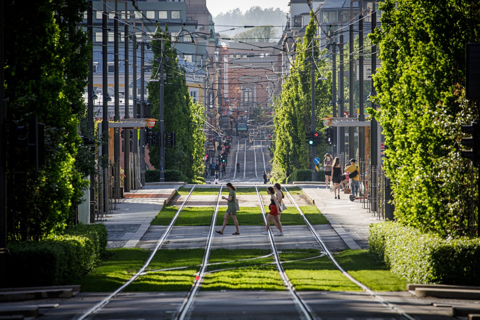 Nærområdet Galleribilde