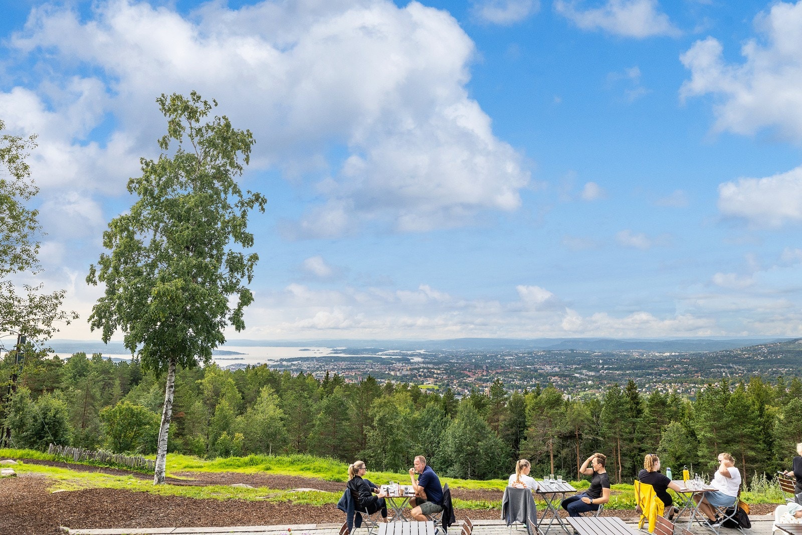 Hva med en løpetur opp til Grefsenkollen? Her kan du nyte utsikten. Galleribilde