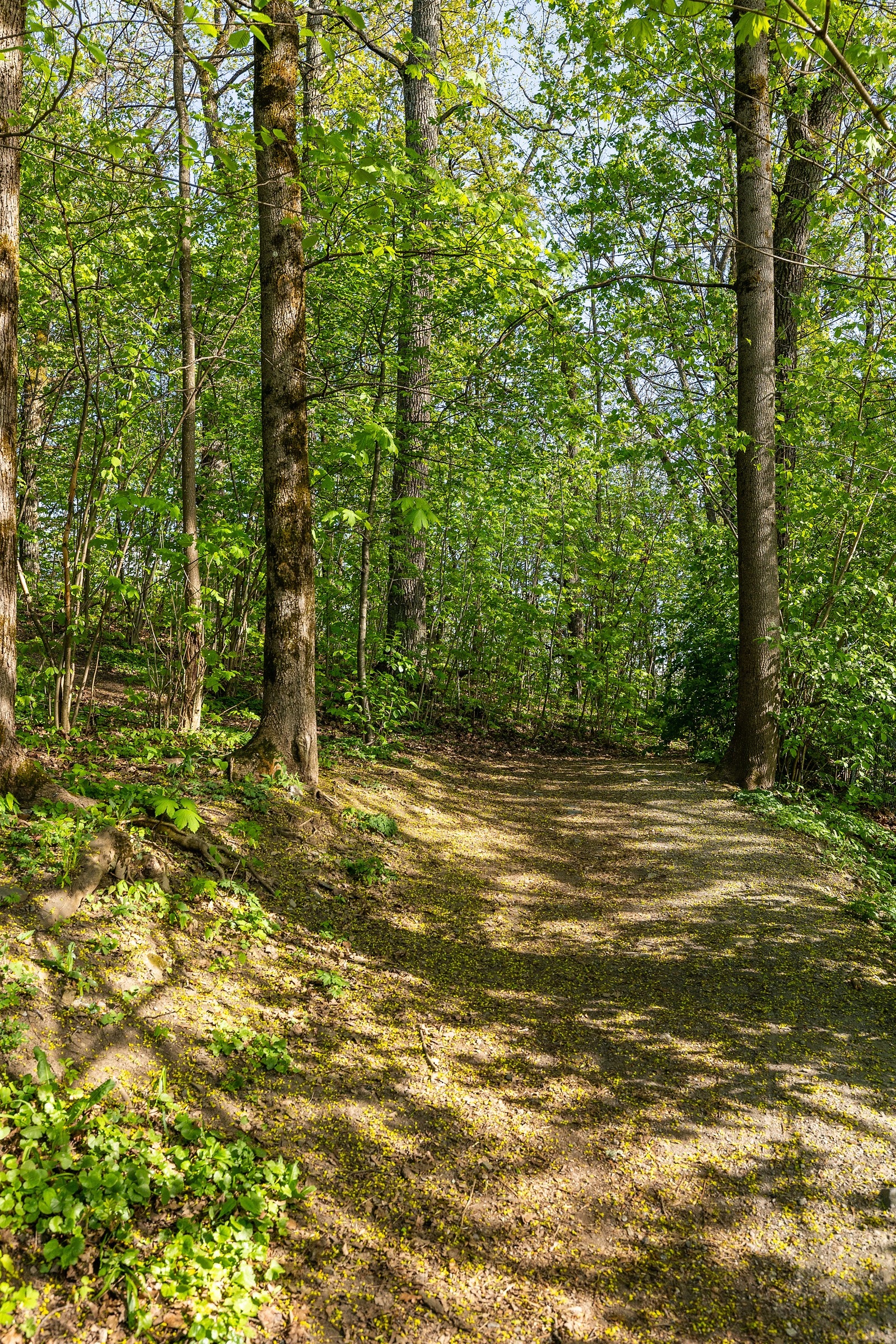 Leiligheten har en sentral beliggenhet, likevel i umiddelbar nærhet til flotte turområder. Galleribilde