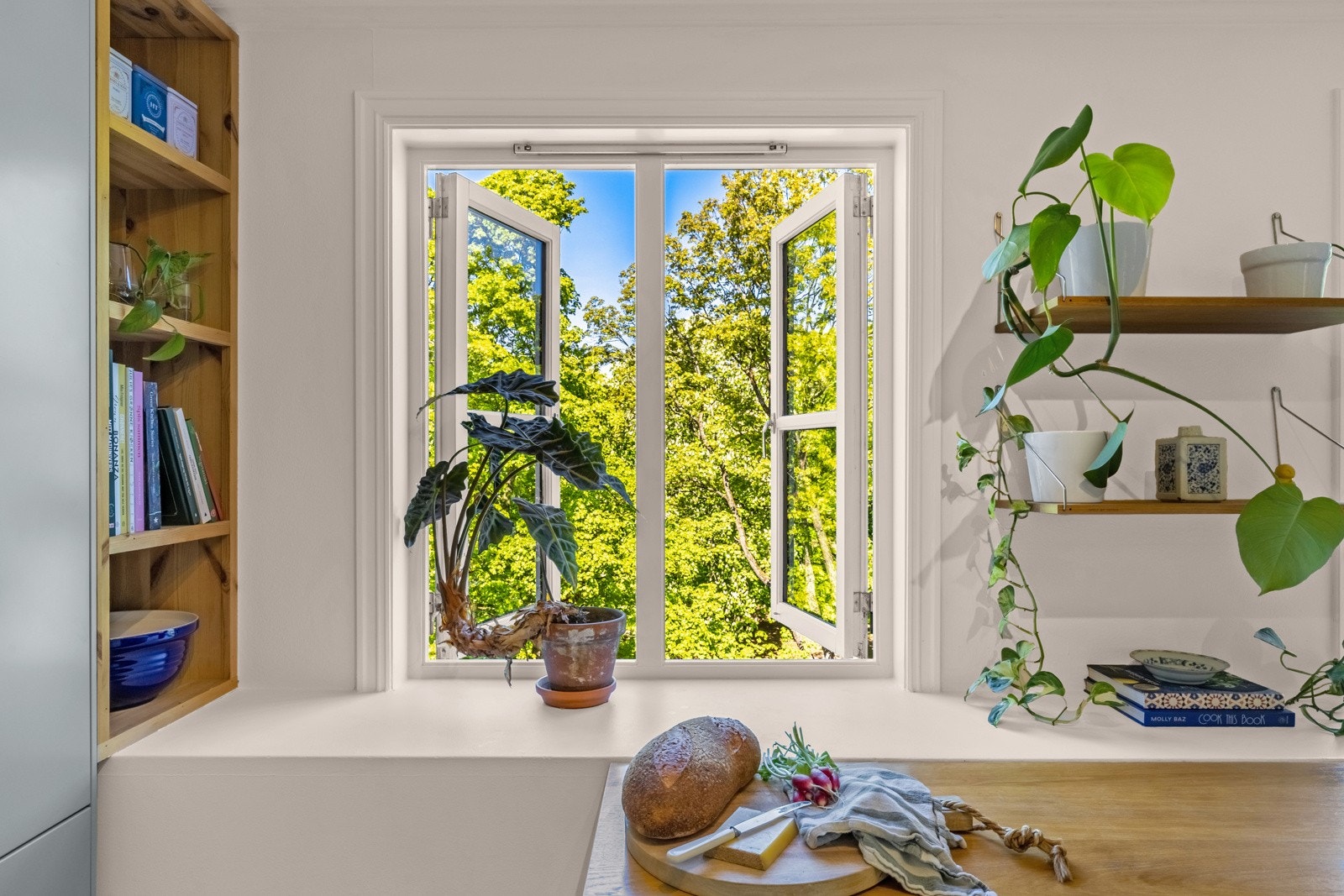 Utrolig flott utsikt, her kan du følge med på årstidene Galleribilde