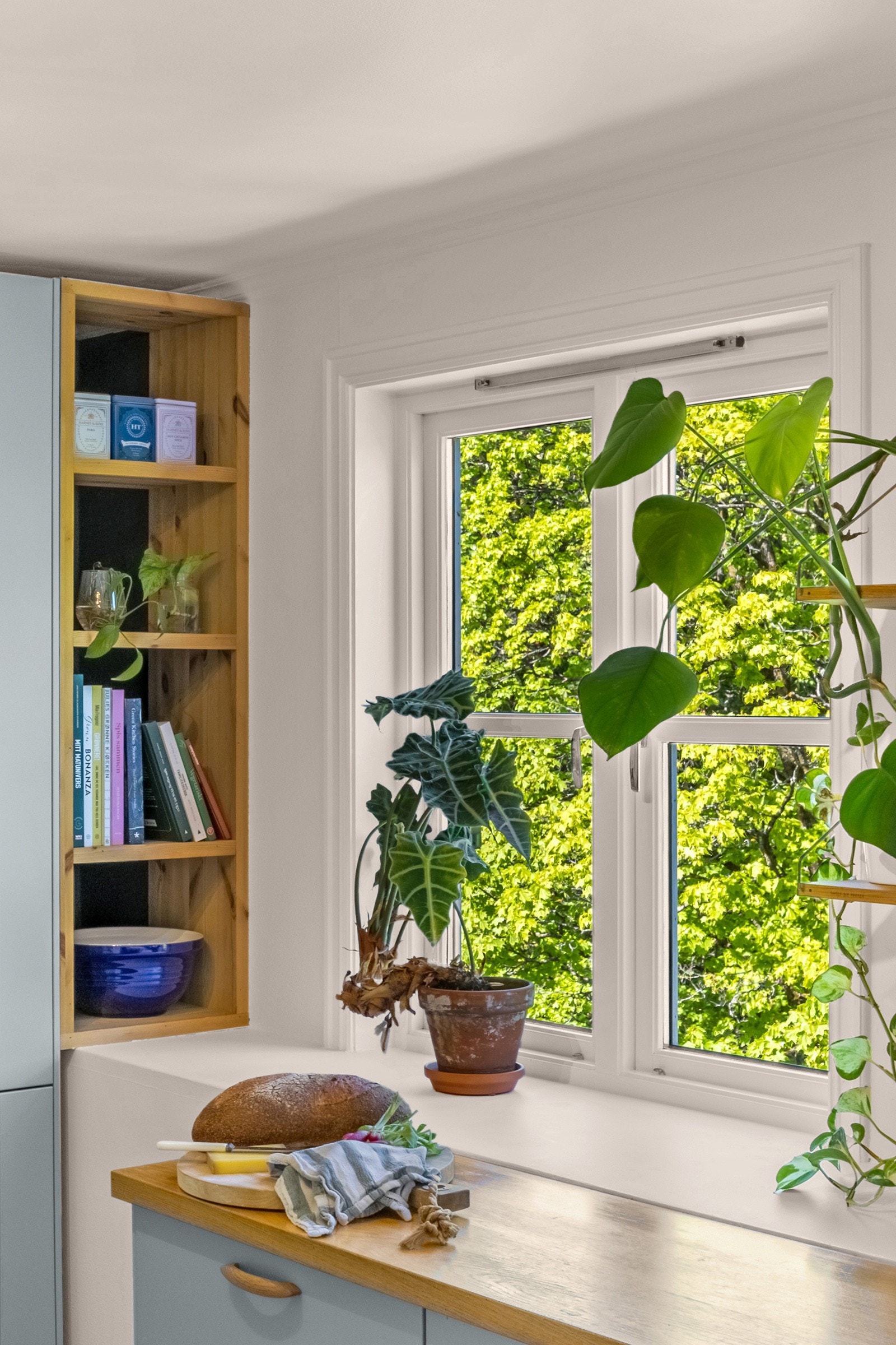 Kjøkken og stue vender mot Sofienbergparken Galleribilde