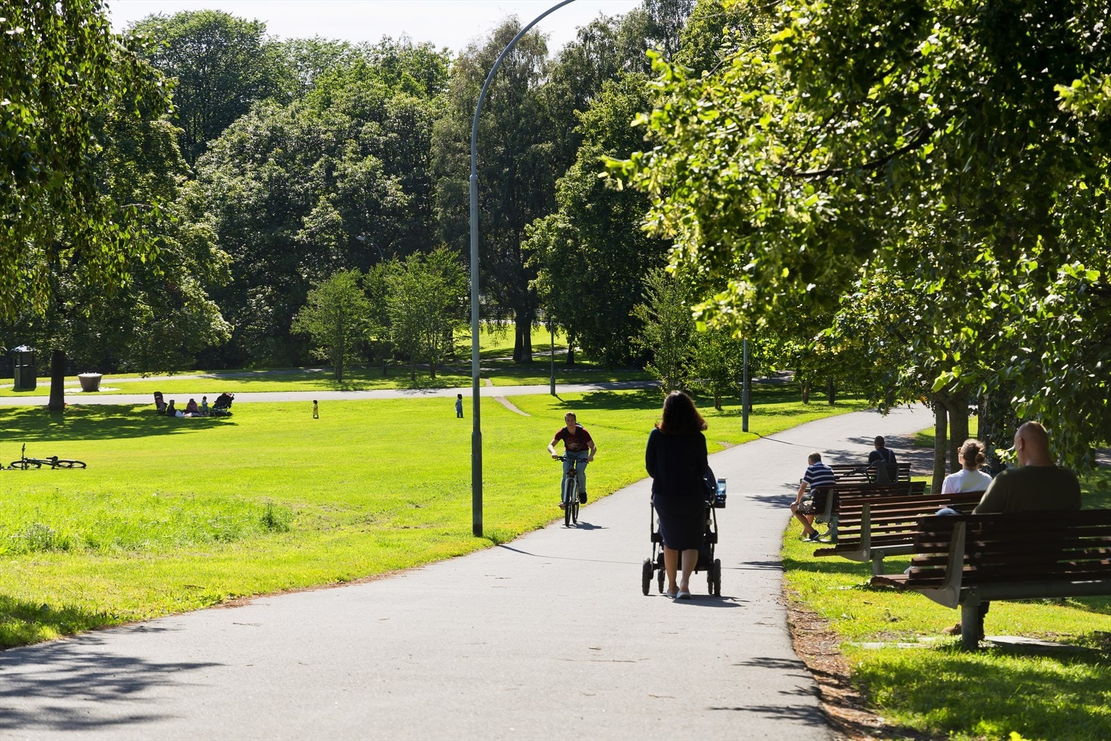 Områdebilde Galleribilde