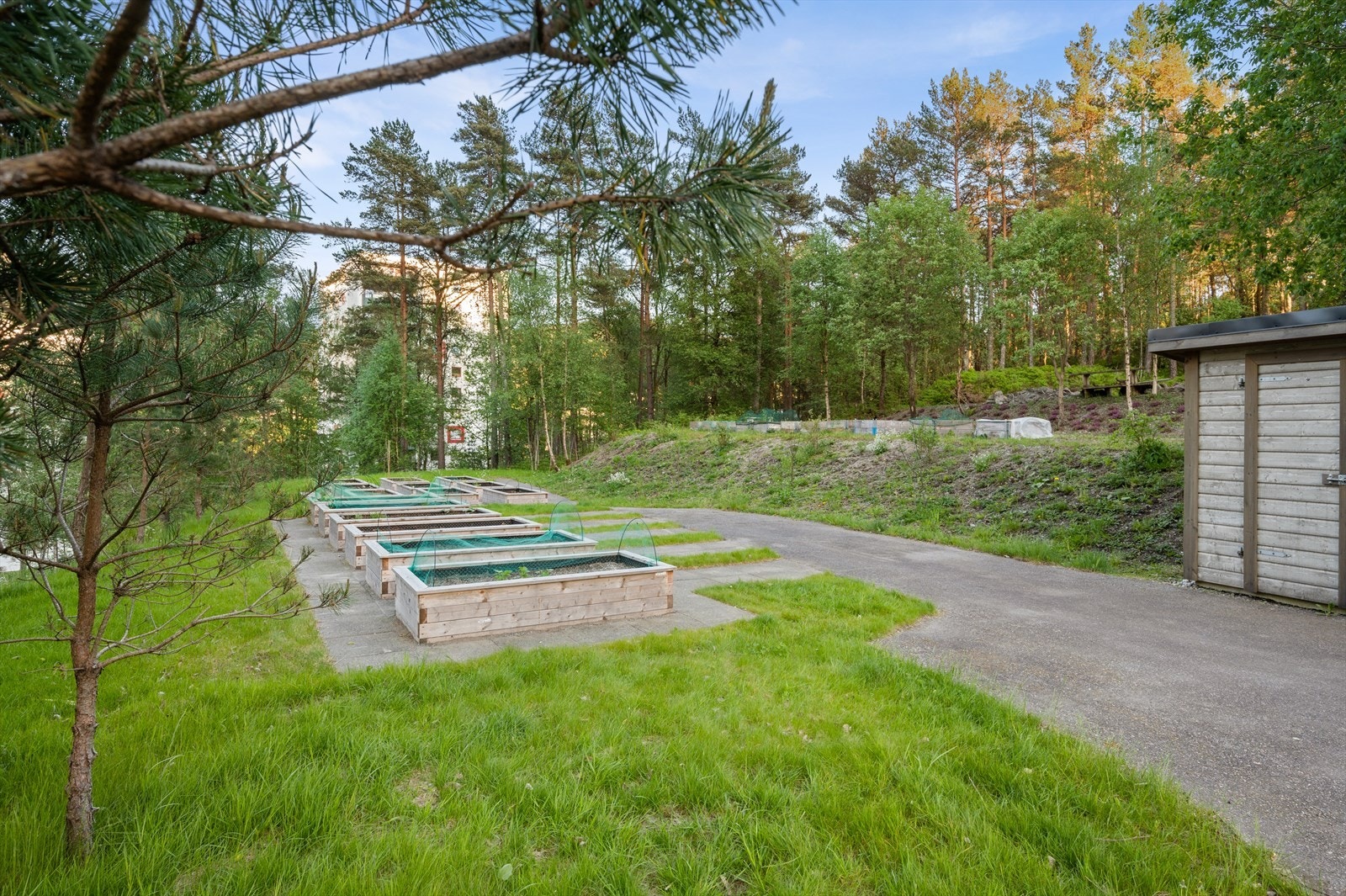 Borettslaget har en egen parsellhage Galleribilde