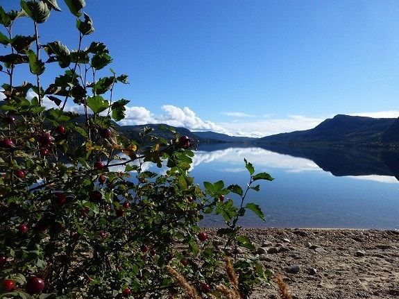 Nede ved Nisser Galleribilde