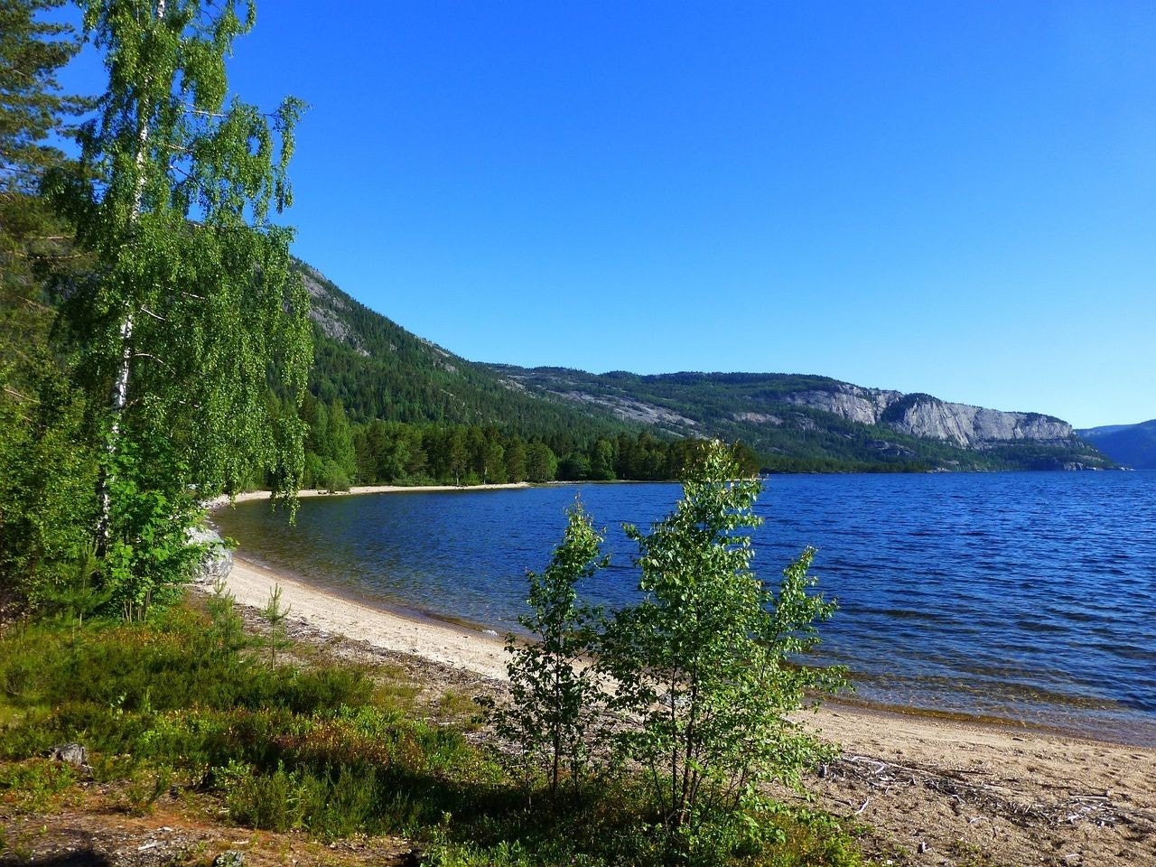 Fine sandstrender ved vannet Galleribilde