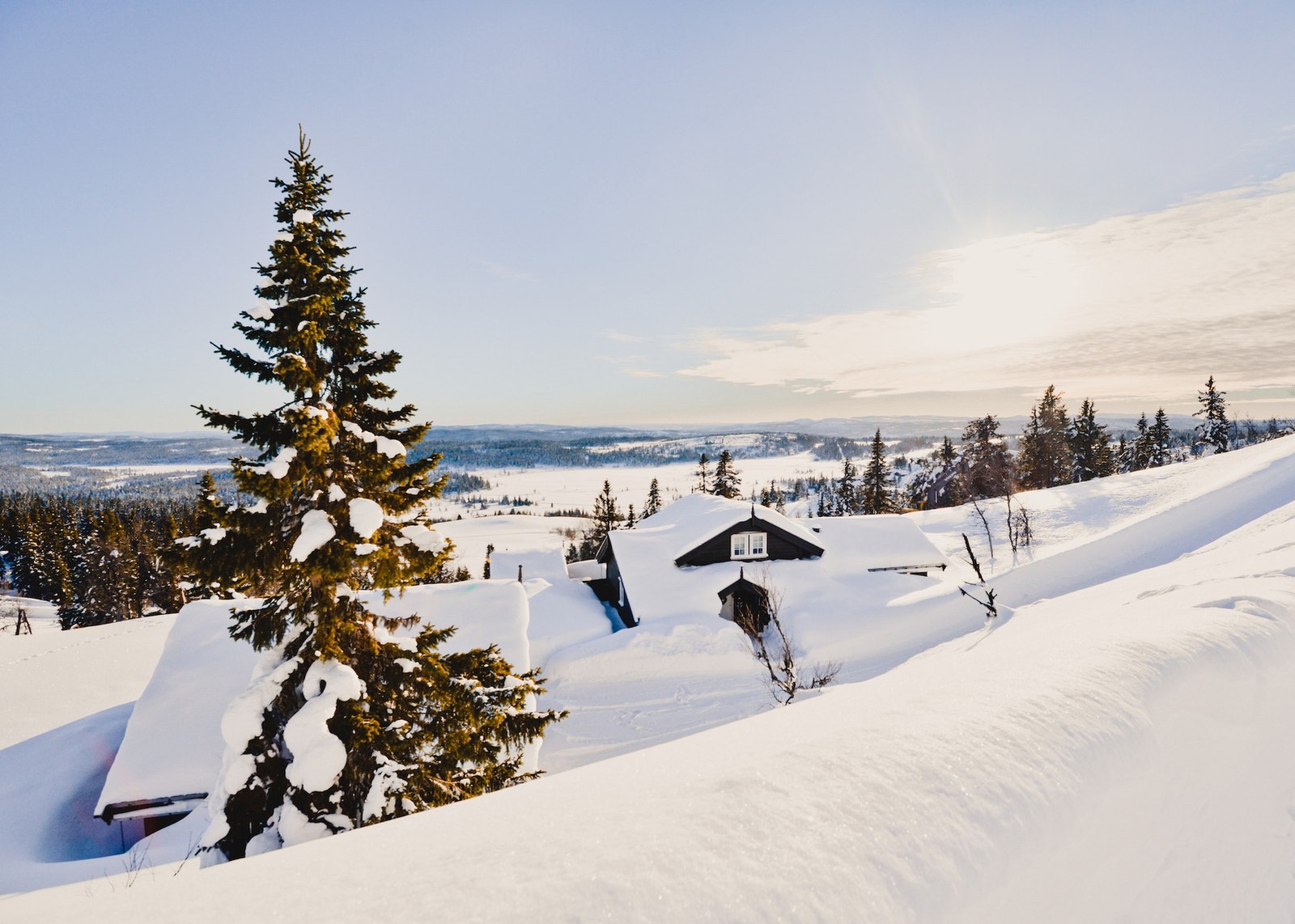 Fra tomteområdet Galleribilde