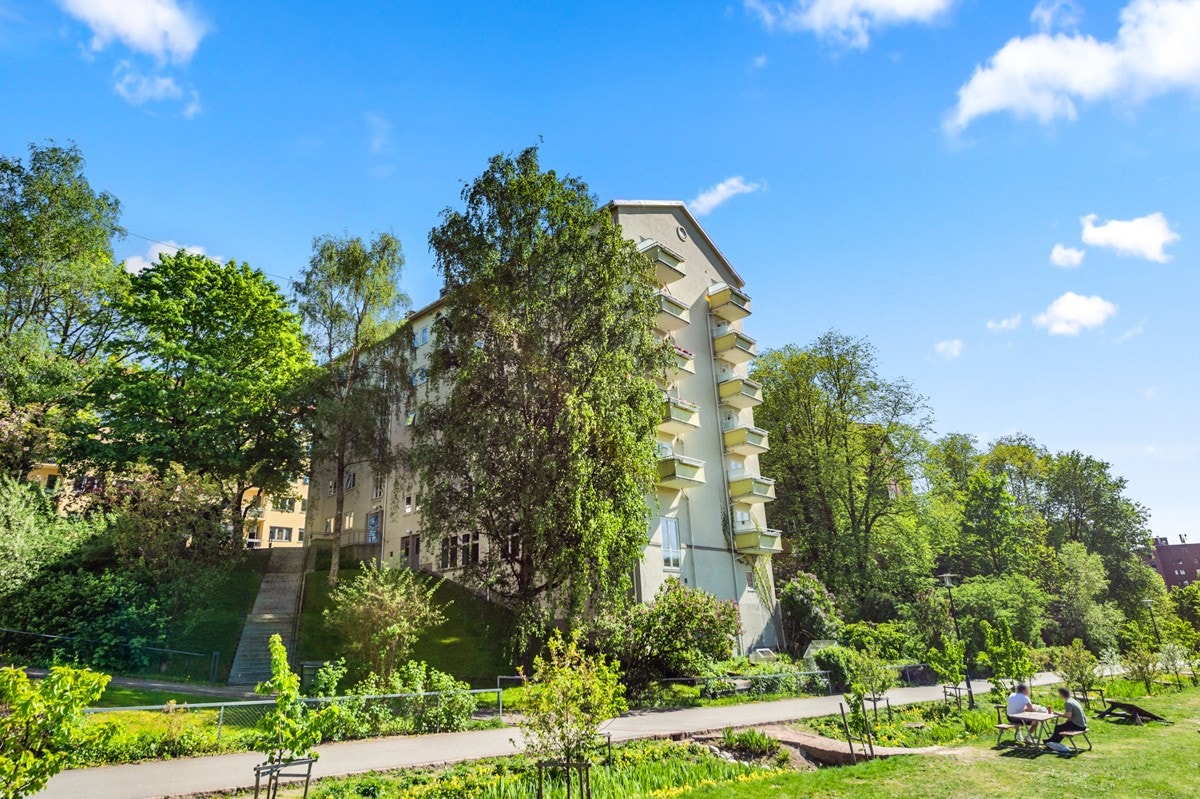 Fasade fra Iladalen park. Galleribilde