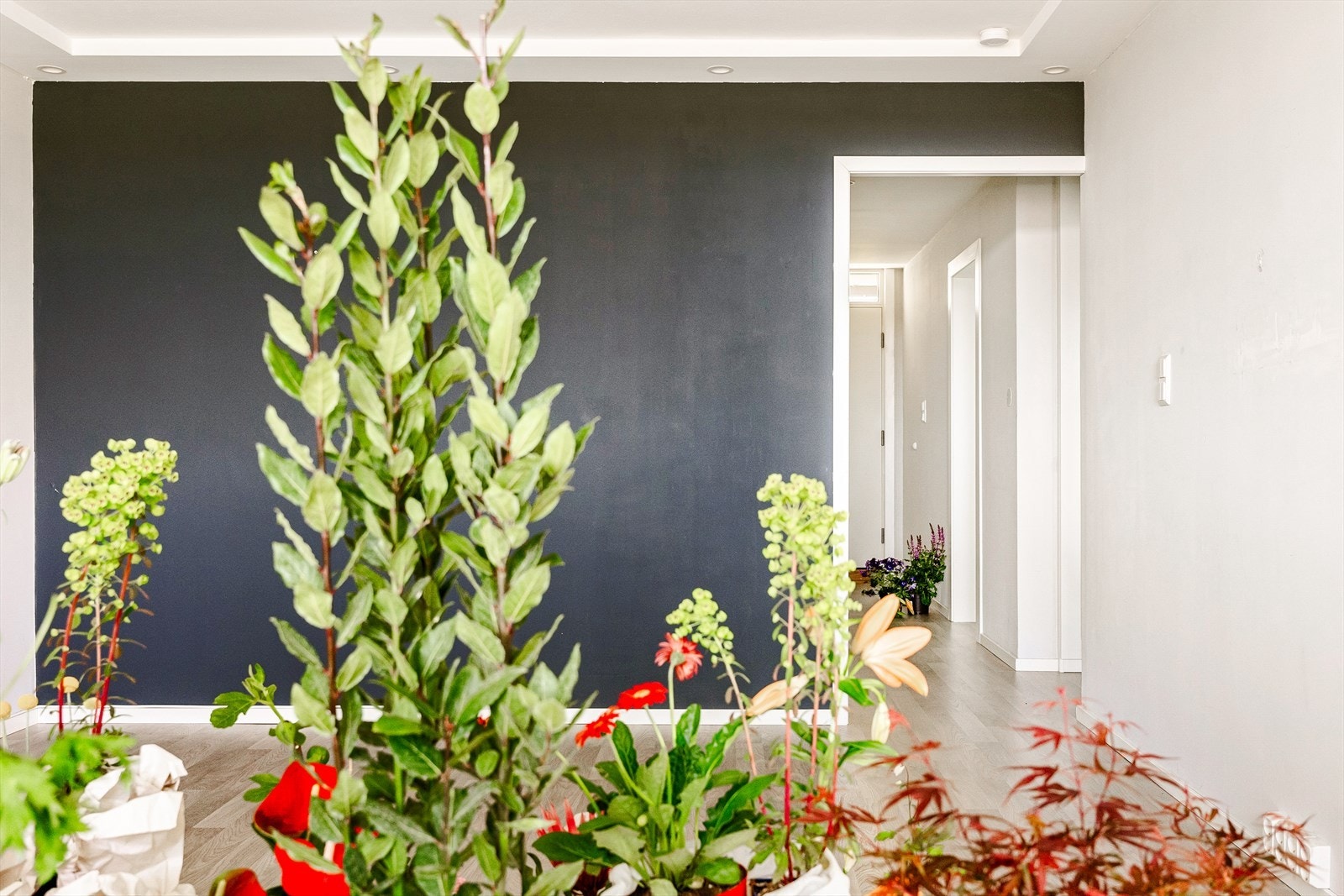 Spotter i taket som lyser opp den sorte kontrastveggen. Galleribilde