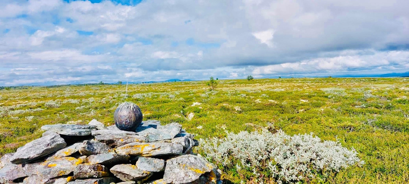 Selgers bilde Galleribilde