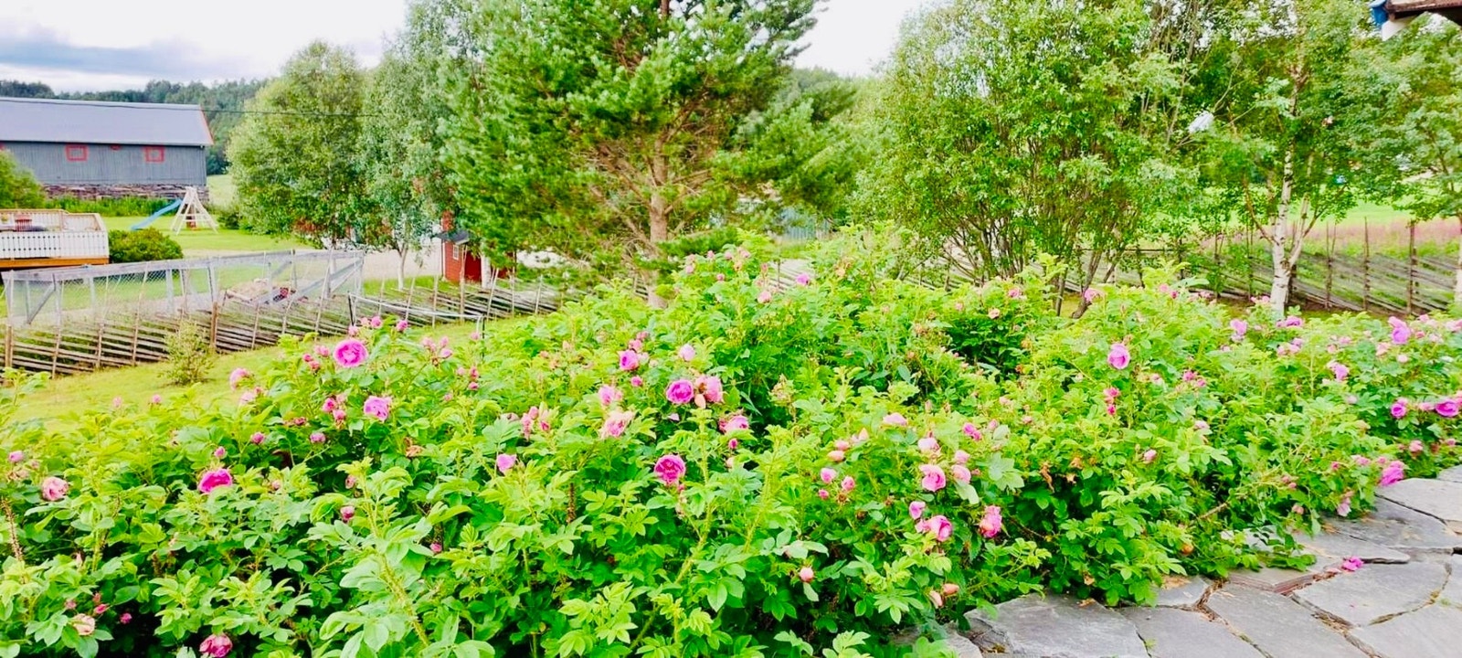 Selgers bilde Galleribilde