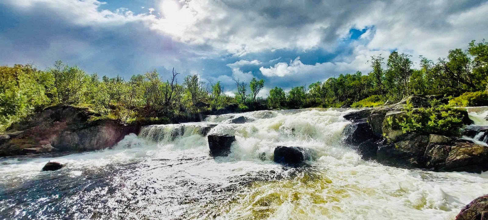 Selgers bilde Galleribilde