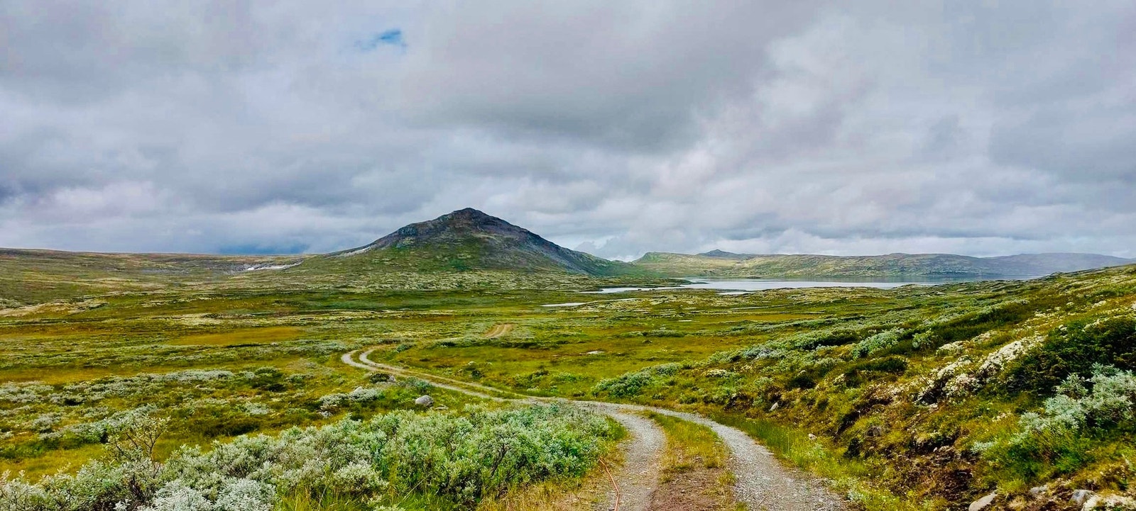 Selgers bilde Galleribilde