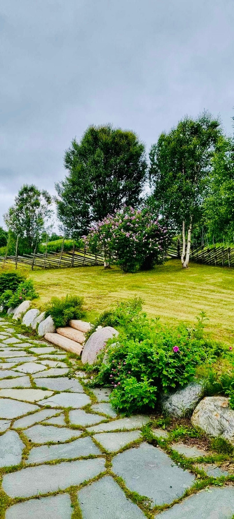 Selgers bilde Galleribilde