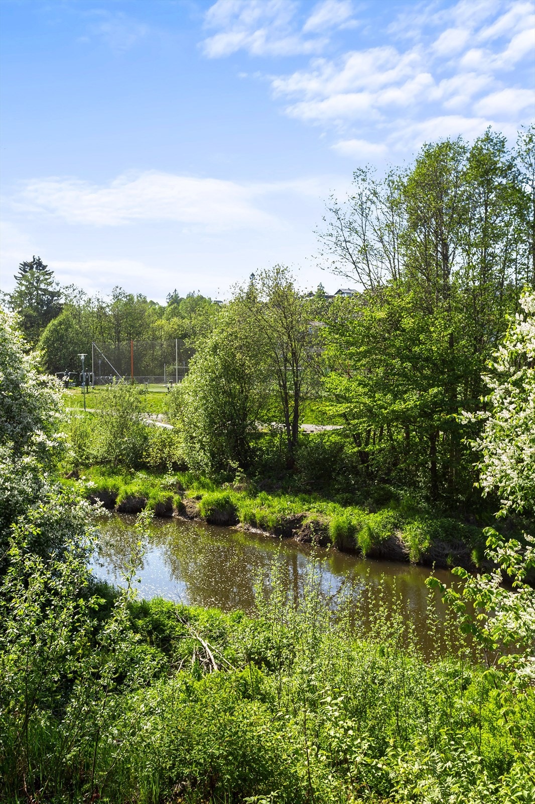 Utsikt til natur og rekreasjonsområder fra boligen. Galleribilde