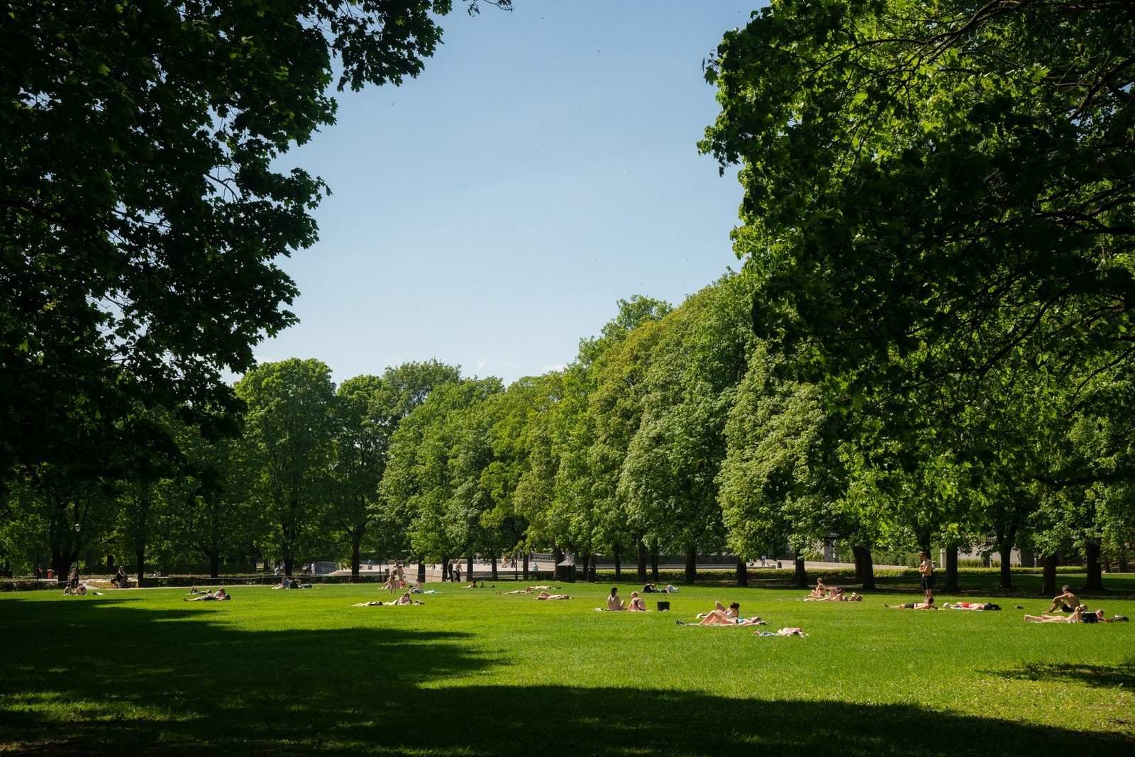 Dette er den perfekte beliggenheten for deg som ønsker en av Oslo sine største parker rett utenfor, samtidig som du bor i umiddelbar nærhet til Oslo by sitt pulserende liv. Galleribilde