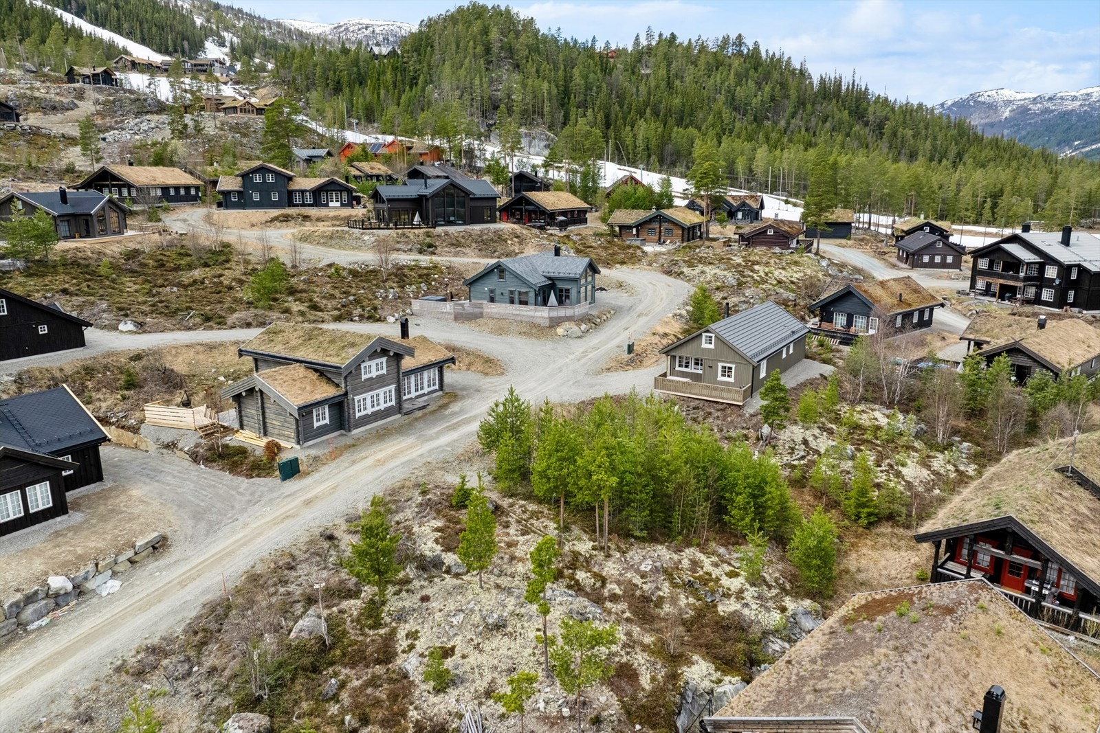 Tomten er lett skrånende, bevokst med trær. Galleribilde