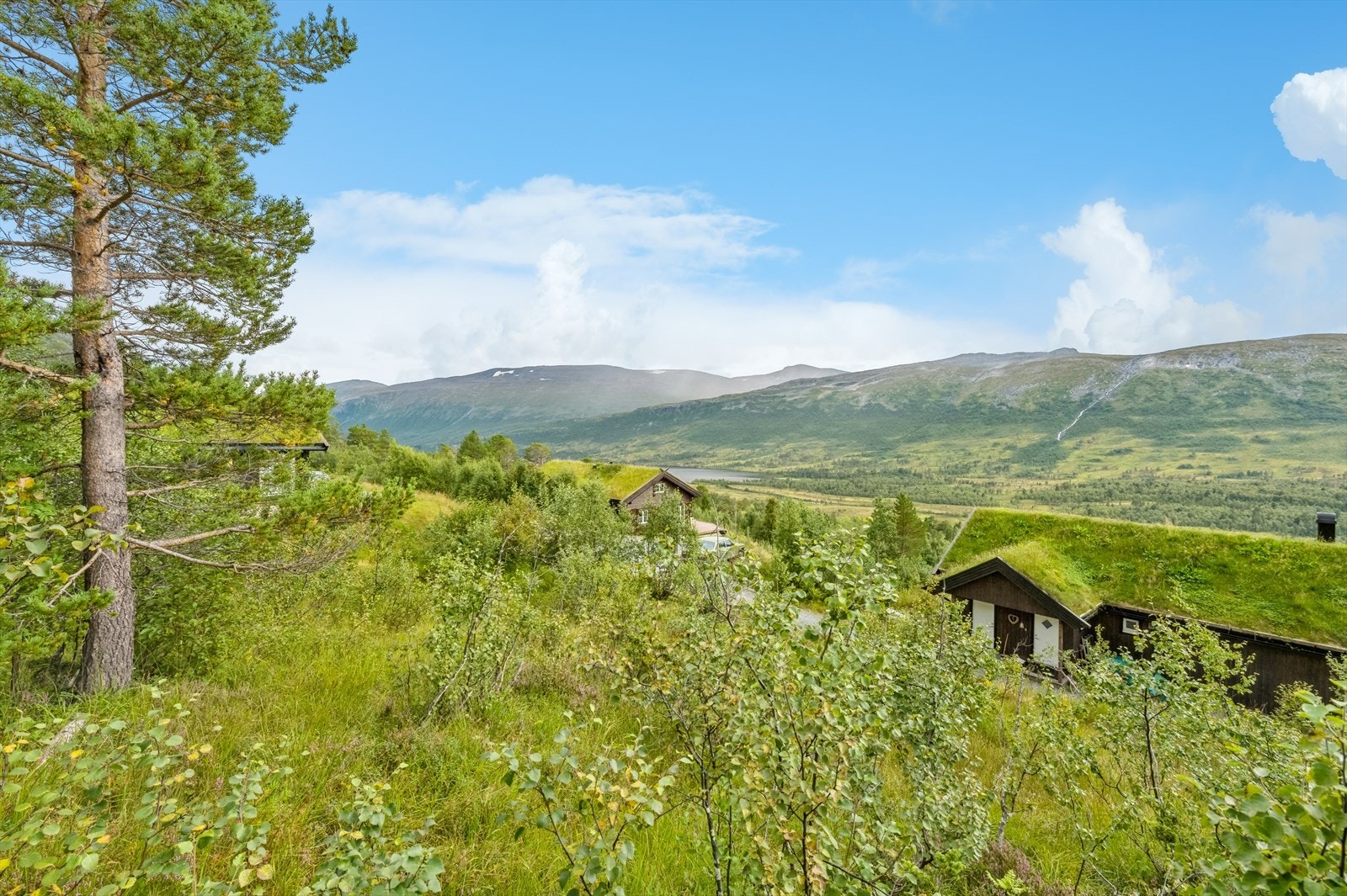 Tomten er på 1 005 m² og er lett skrånende i sør- vestlig retning. Galleribilde