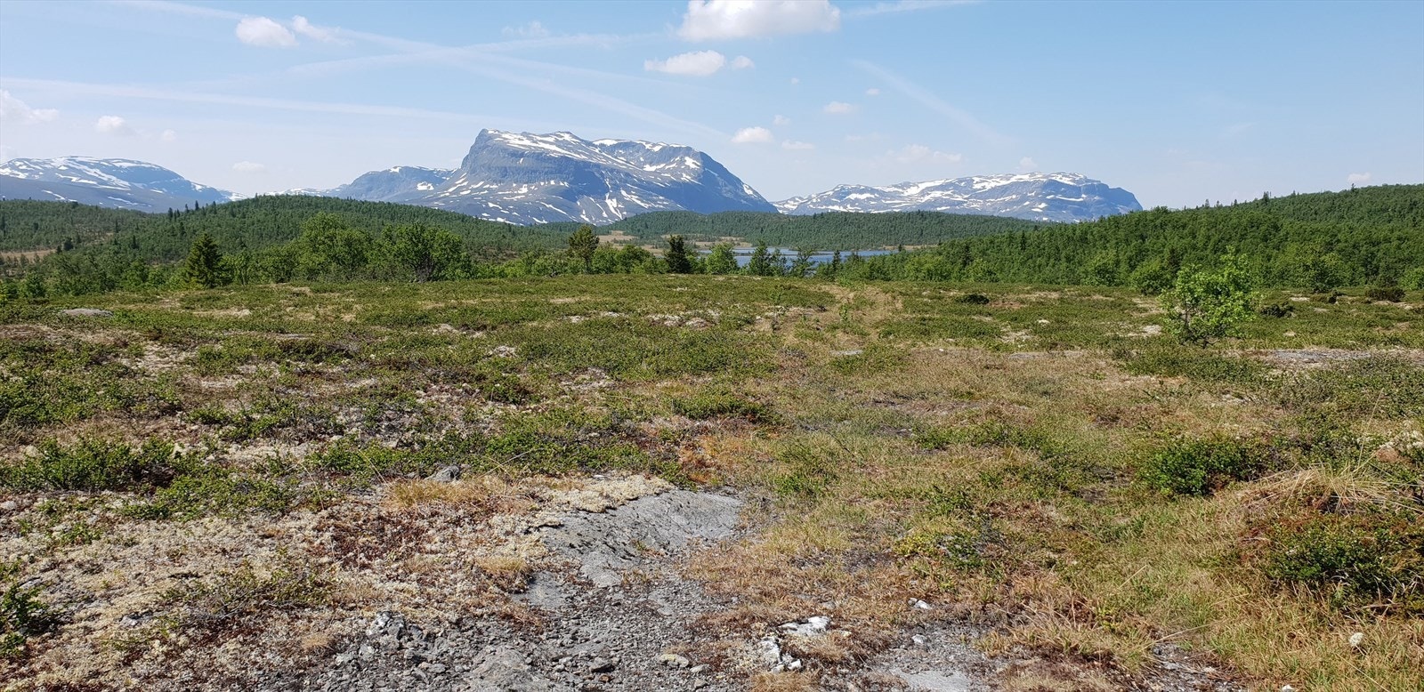 Selgers bilde. Galleribilde