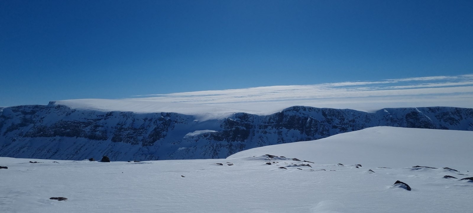 Selgers vinterbilde. Galleribilde