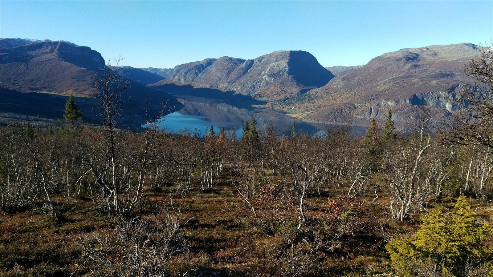 Vangsmjøse. Selgers bilde. Galleribilde