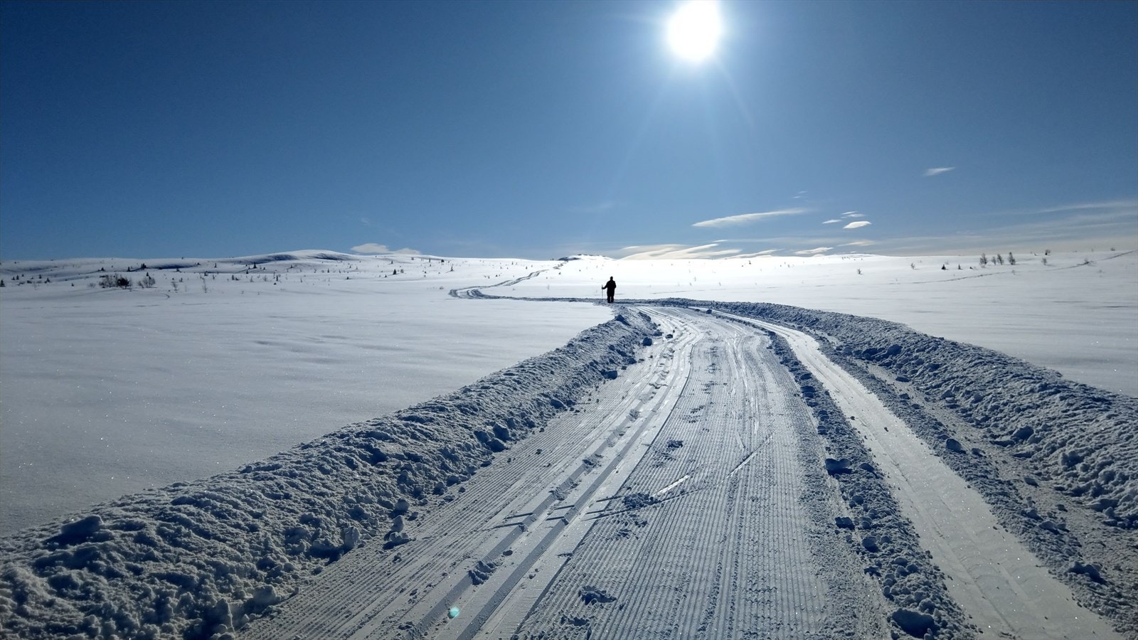 Selgers vinterbilde. Galleribilde