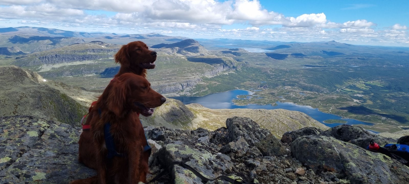 Mugnetind. Selgers bilde. Galleribilde