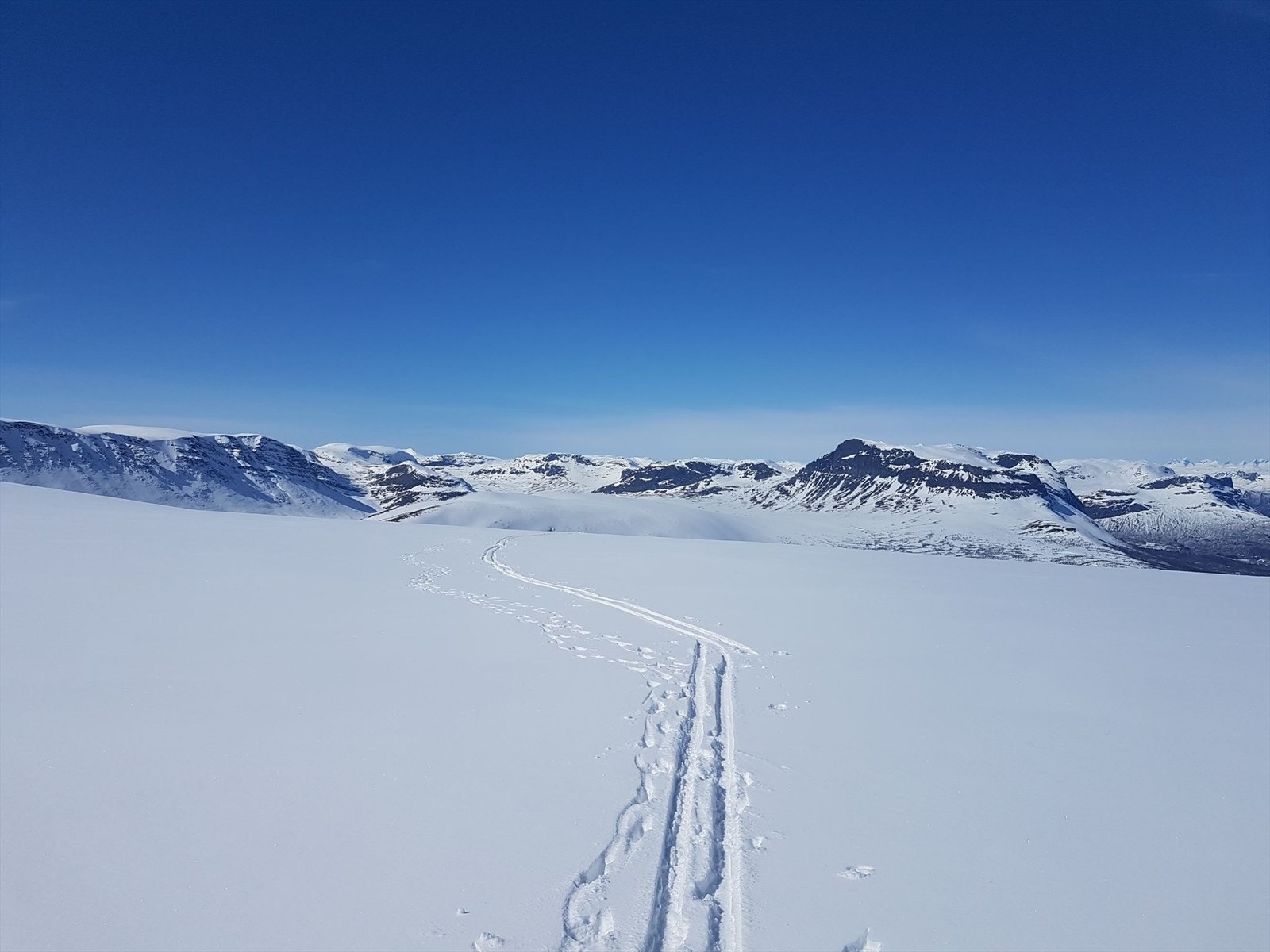 Selgers vinterbilde. Galleribilde