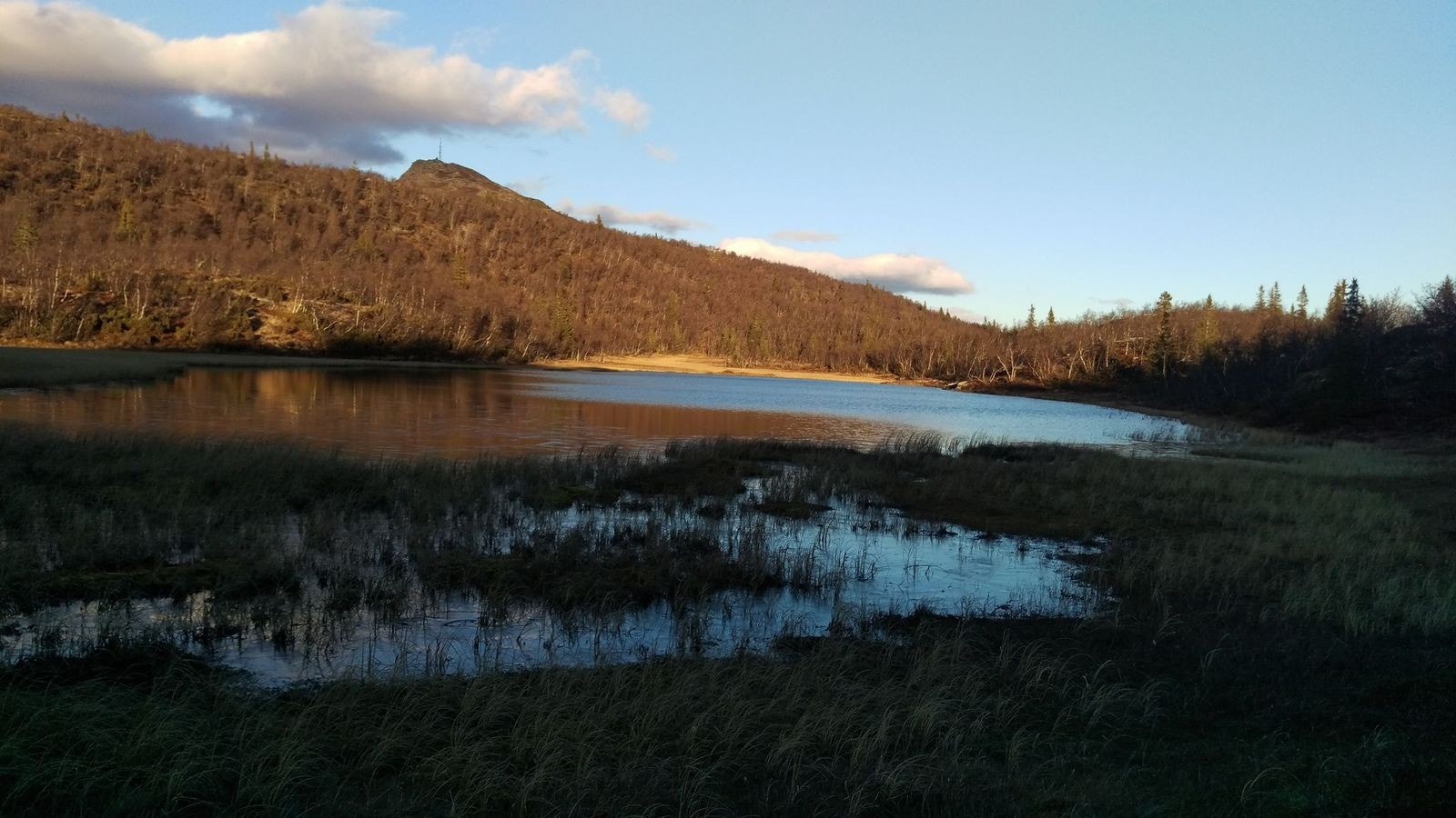 Haugakollen. Selgers bilde. Galleribilde