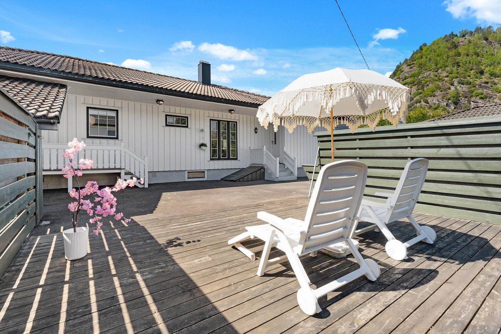 Fin platting i bakgården. Galleribilde