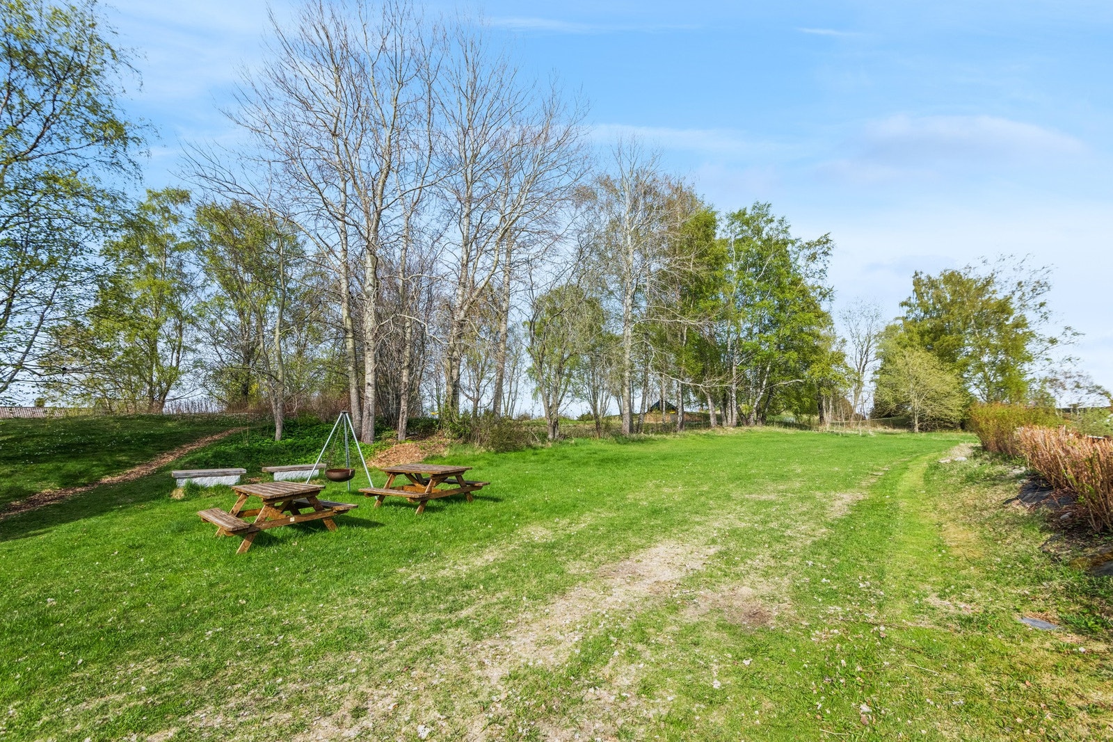 Trivelig friområde rett bak boligen. Galleribilde