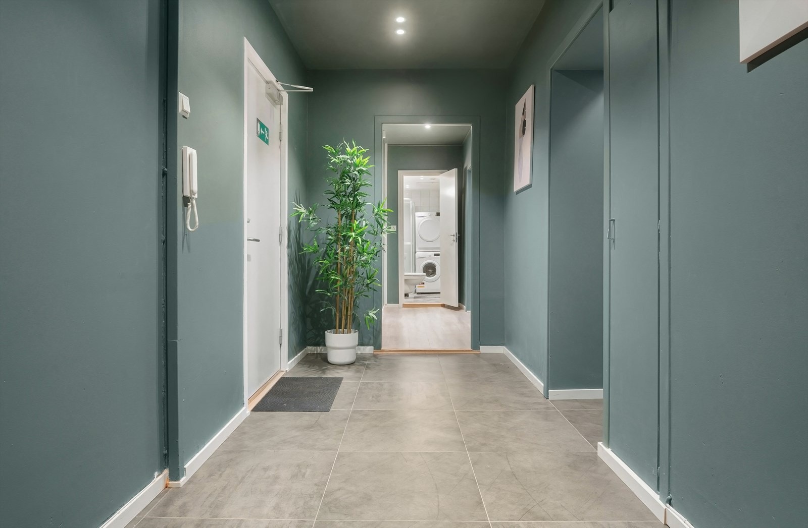 Entre/ gang. Galleribilde