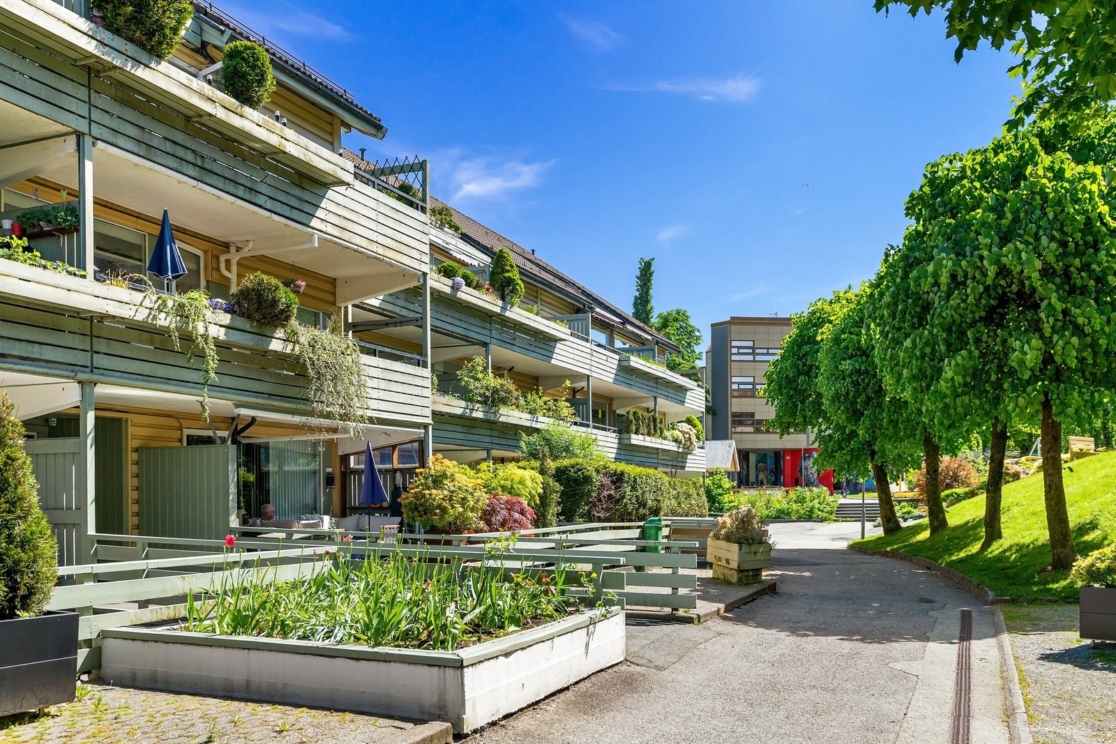 Bilfritt miljø og store grøntarealer kjennetegner omgivelsene Galleribilde