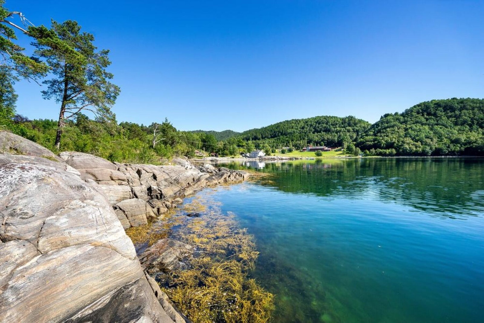 Fra området rundt Galleribilde