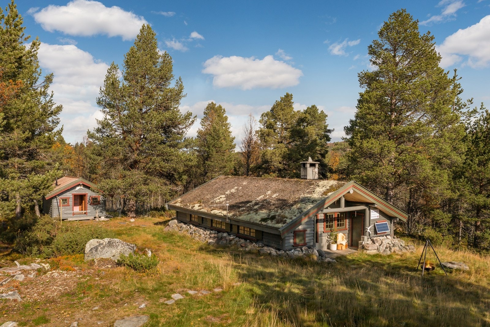 Velkommen til Finntoppsletta 197! Galleribilde