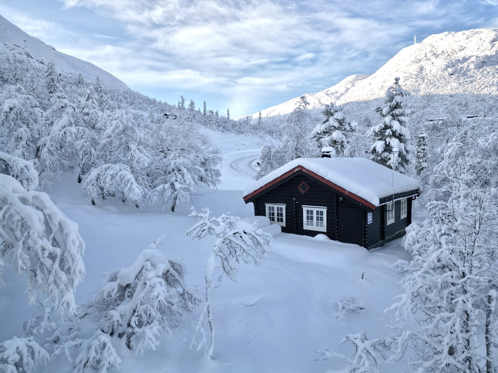 Velkommen til Ølmøslie 6 Galleribilde